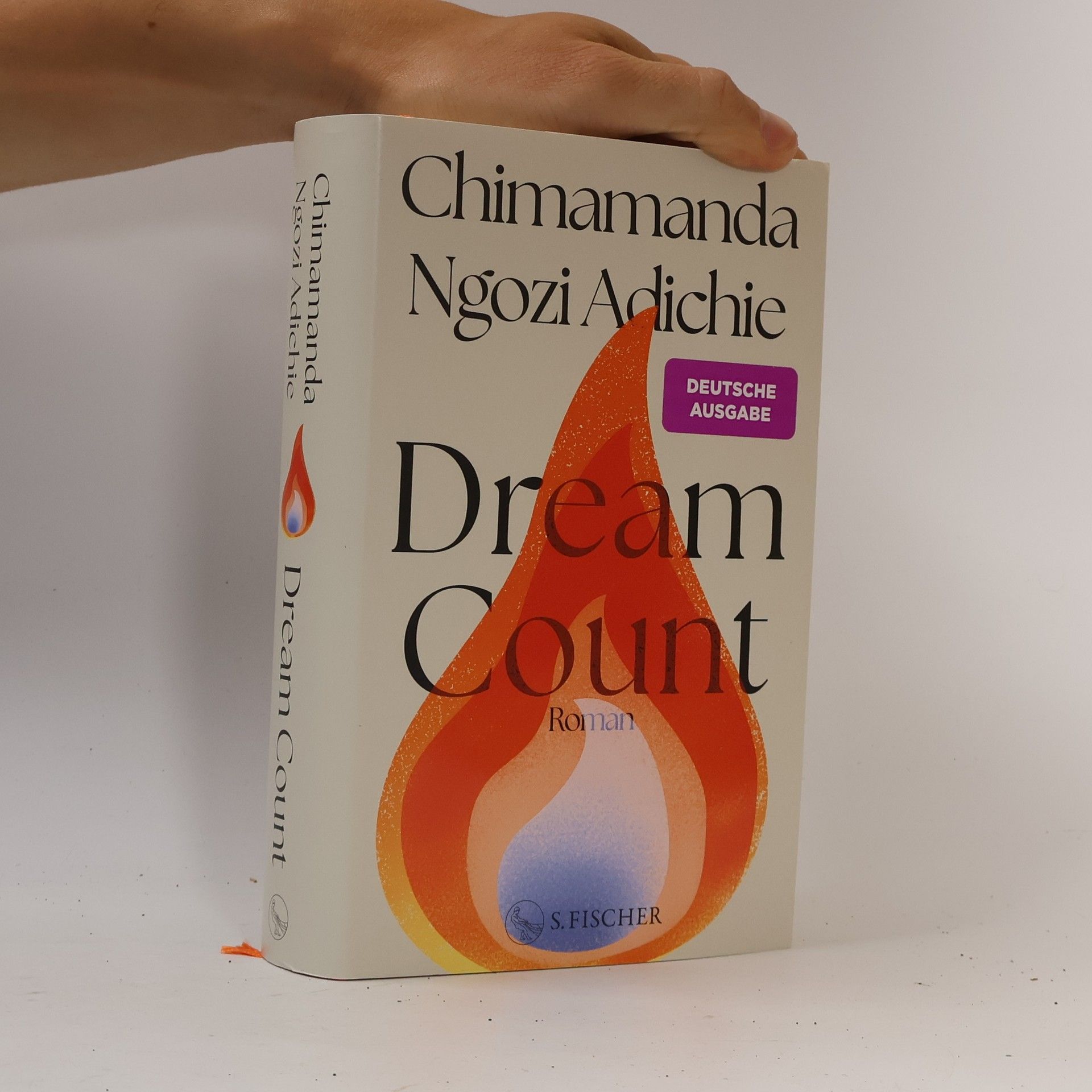 Chimamanda Ngozi Adichie Dream Count