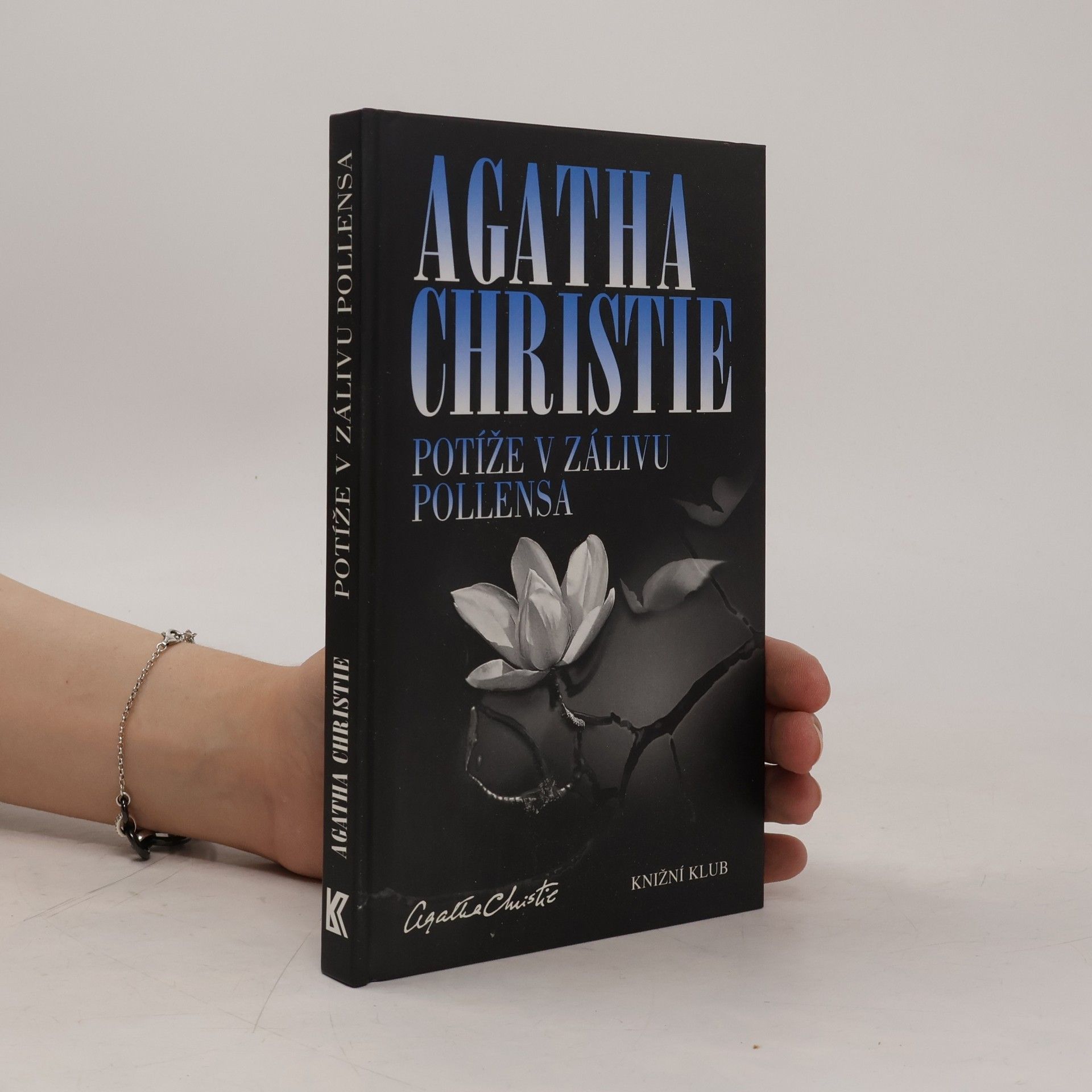 Agatha Christie Potíže v zálivu Pollensa