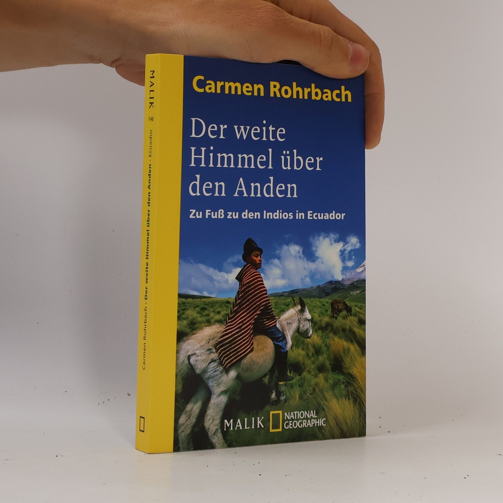 Carmen Rohrbach Der weite Himmel über den Anden