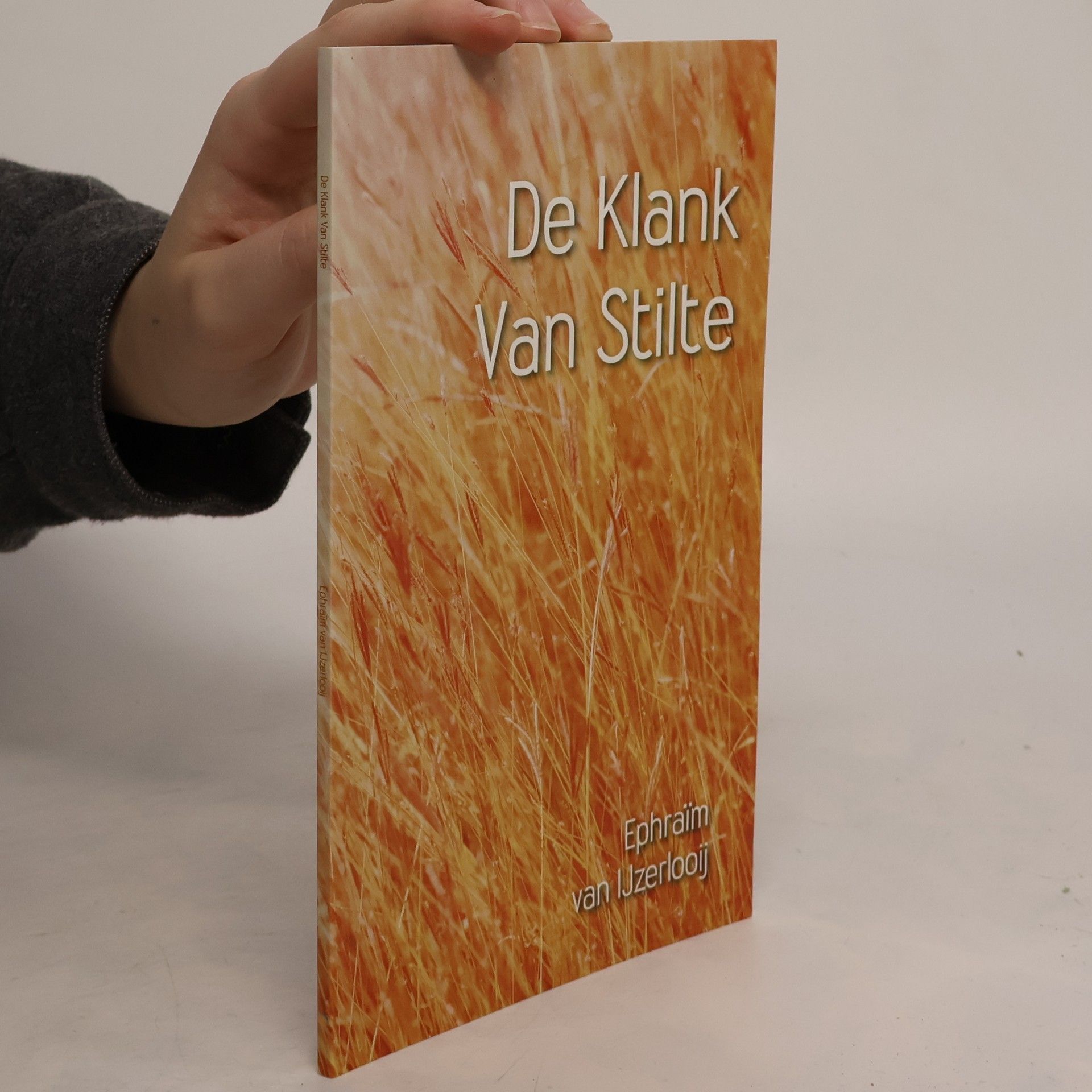 Kolektiv autorů De Klank van Stilte