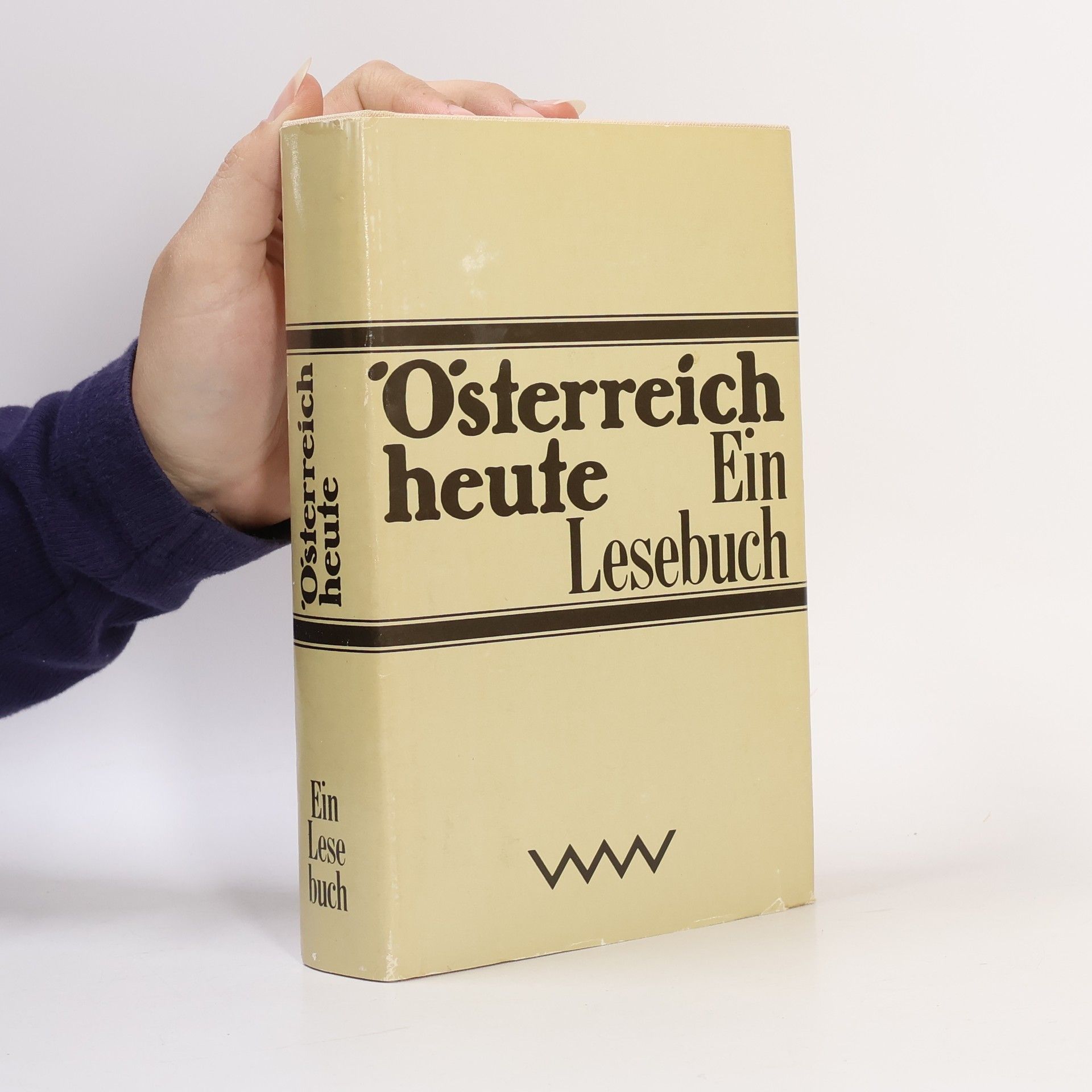 Autorenkollektiv Österreich heute. Ein Lesebuch