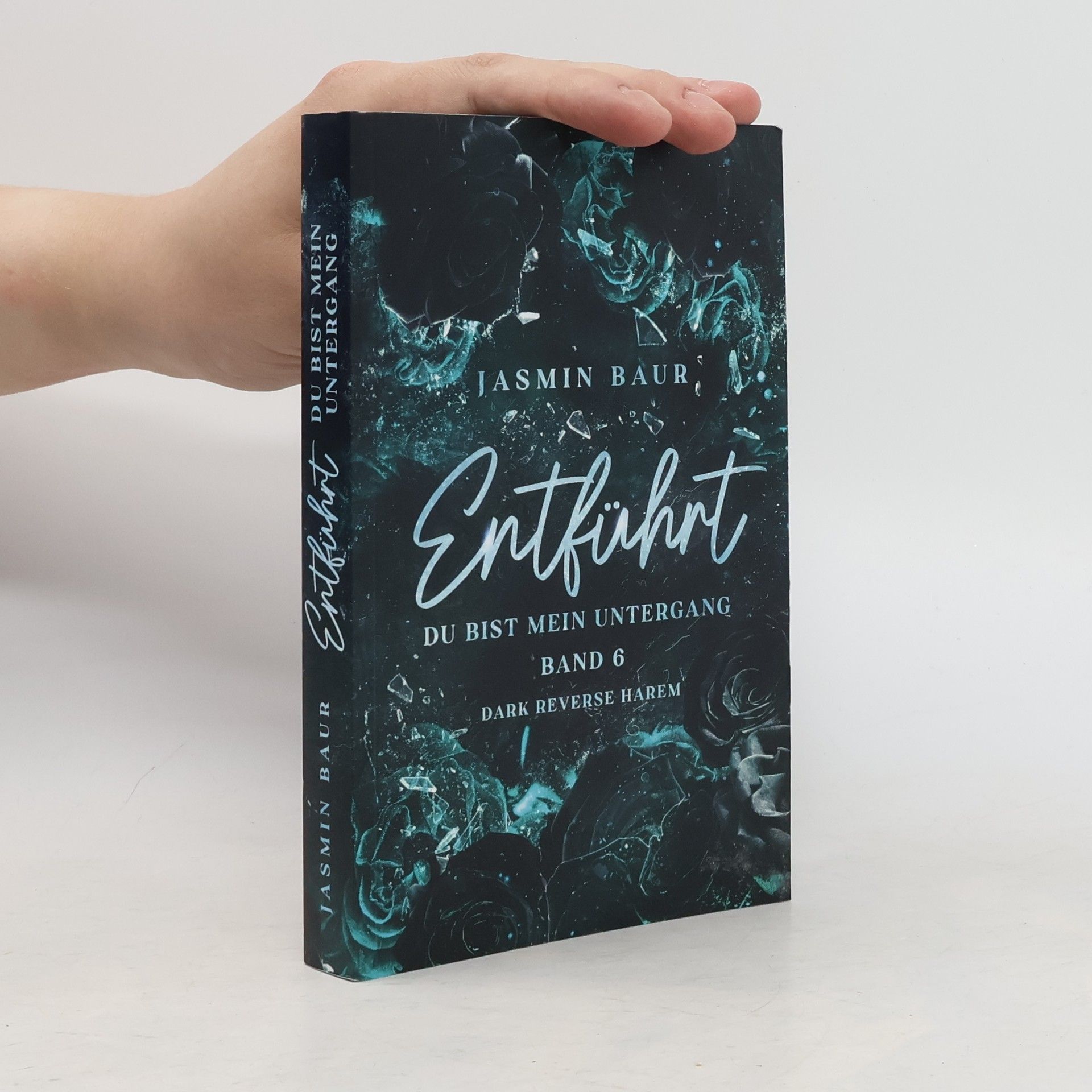 Jasmin Baur Entführt