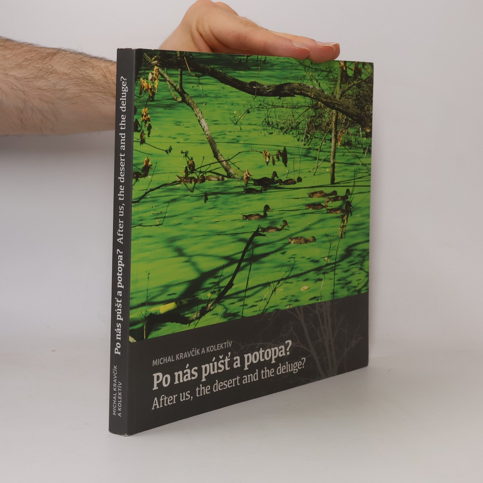 Michal Kravčík Po nás púšť a potopa? = After us, the desert and the deluge?