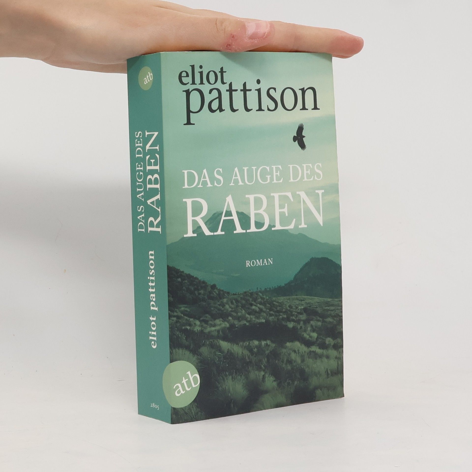 Eliot Pattison Das Auge des Raben