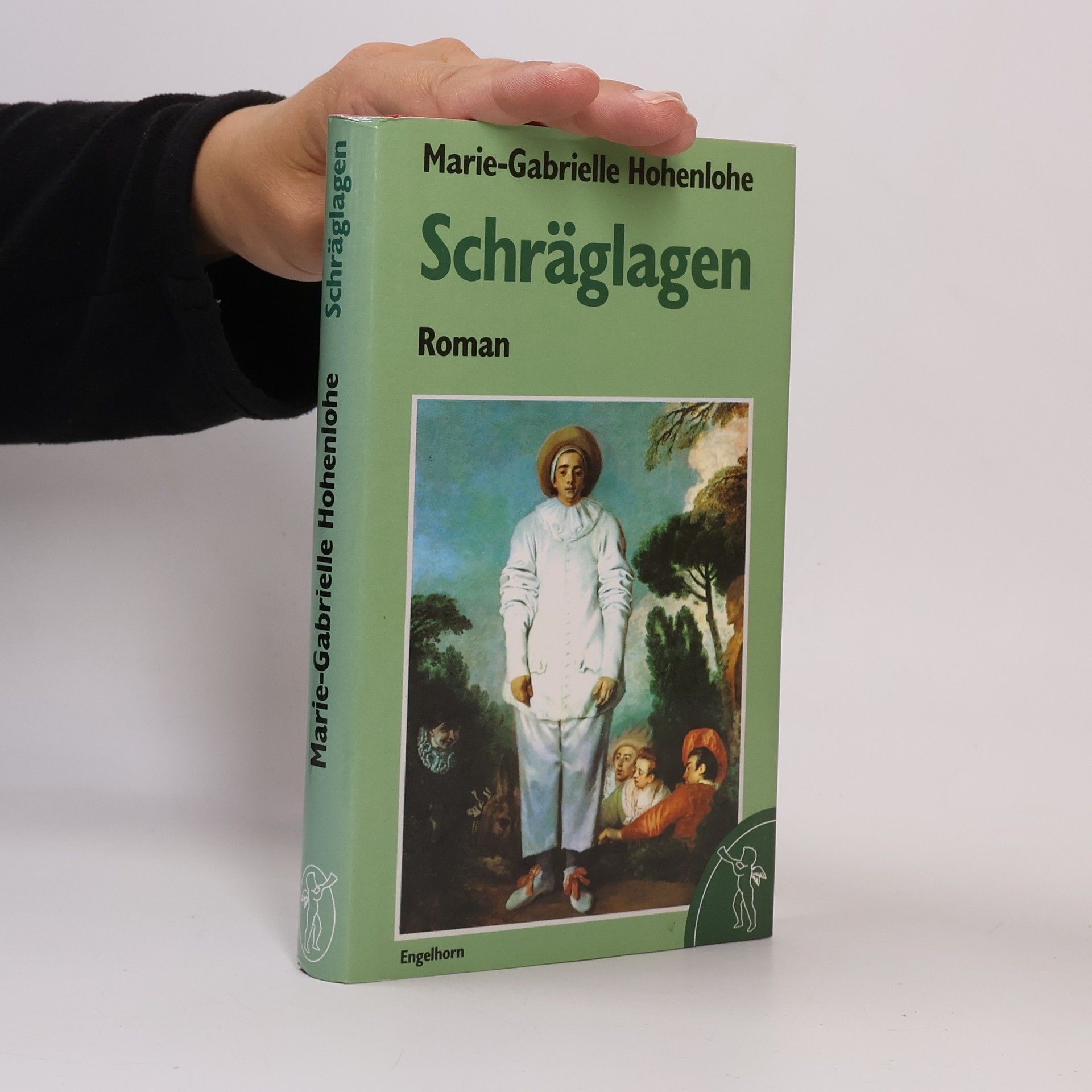 Schräglagen. Roman