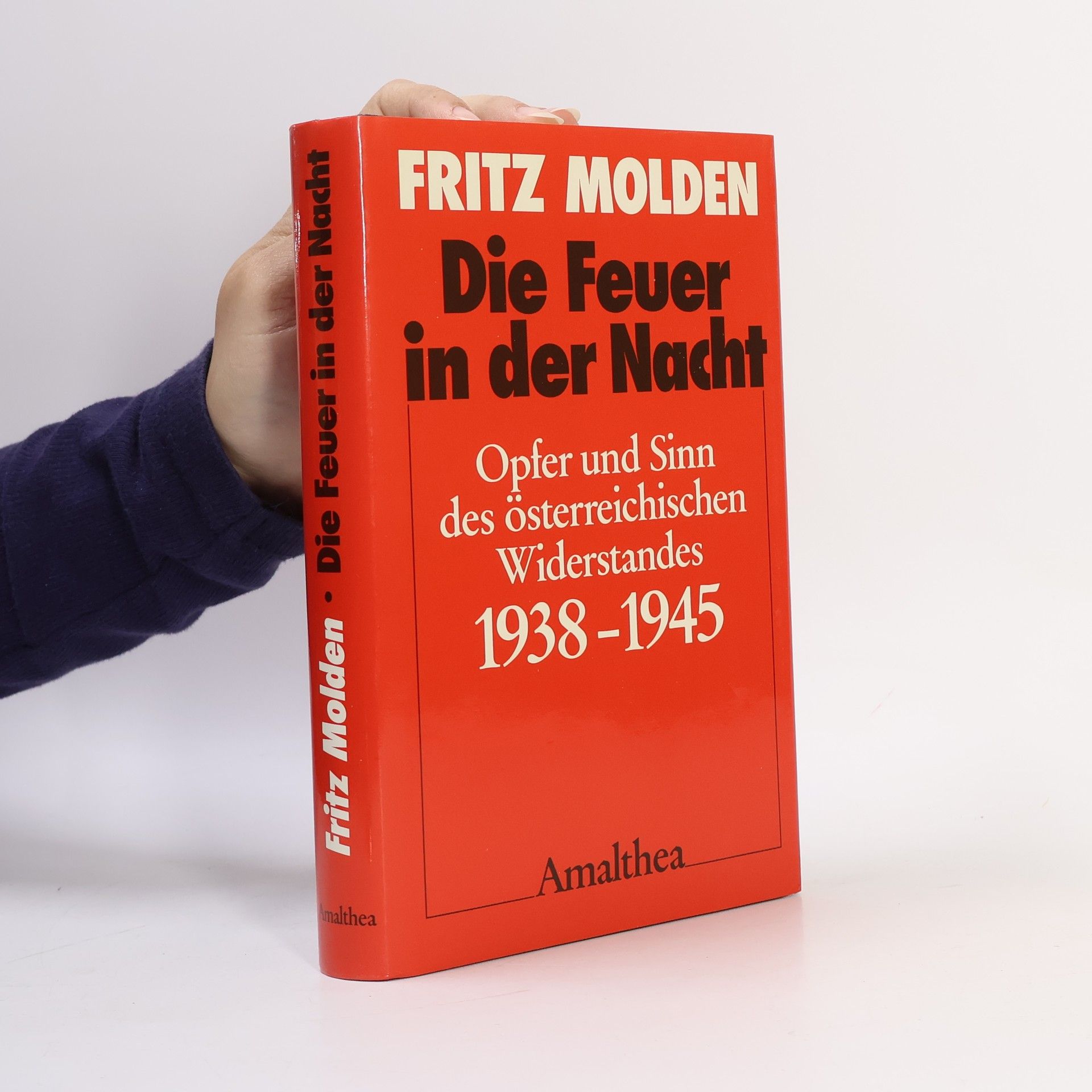 Fritz Molden Die Feuer in der Nacht