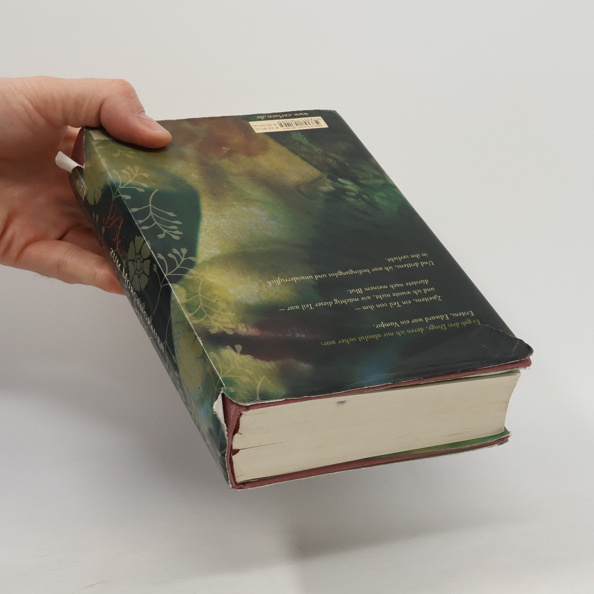Stephenie Meyer Biss zum Morgengrauen