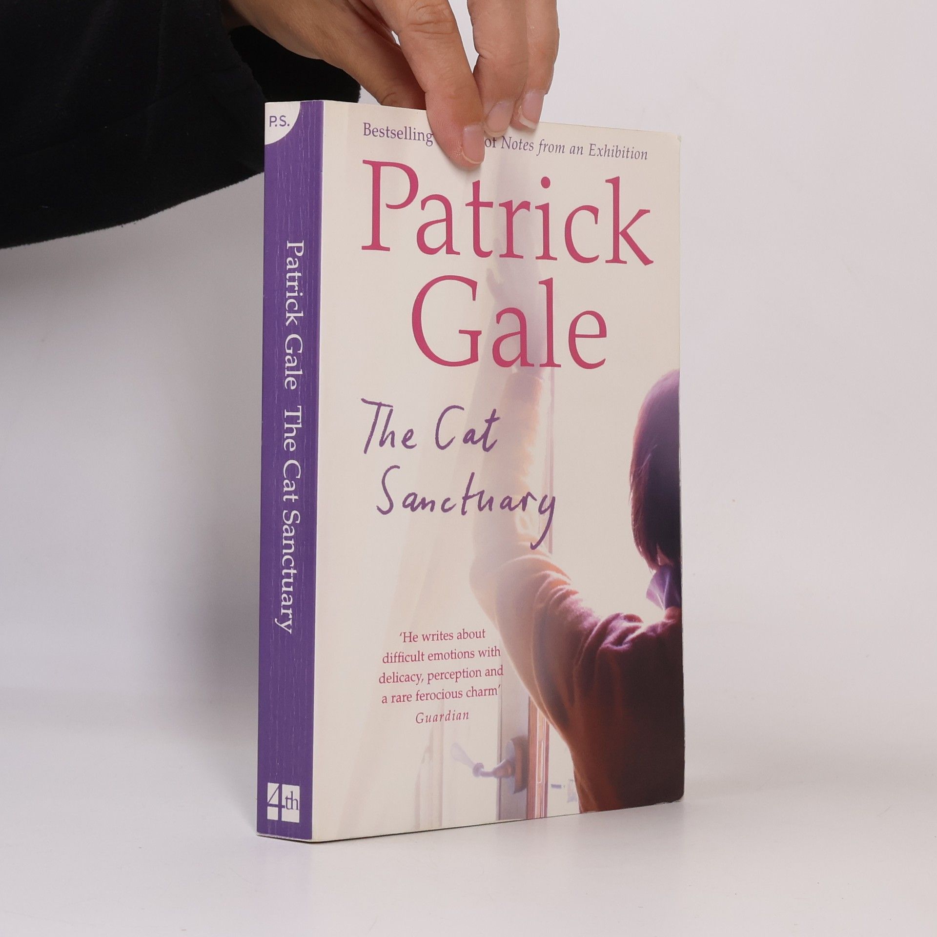Patrick Gale The Cat Sanctuary