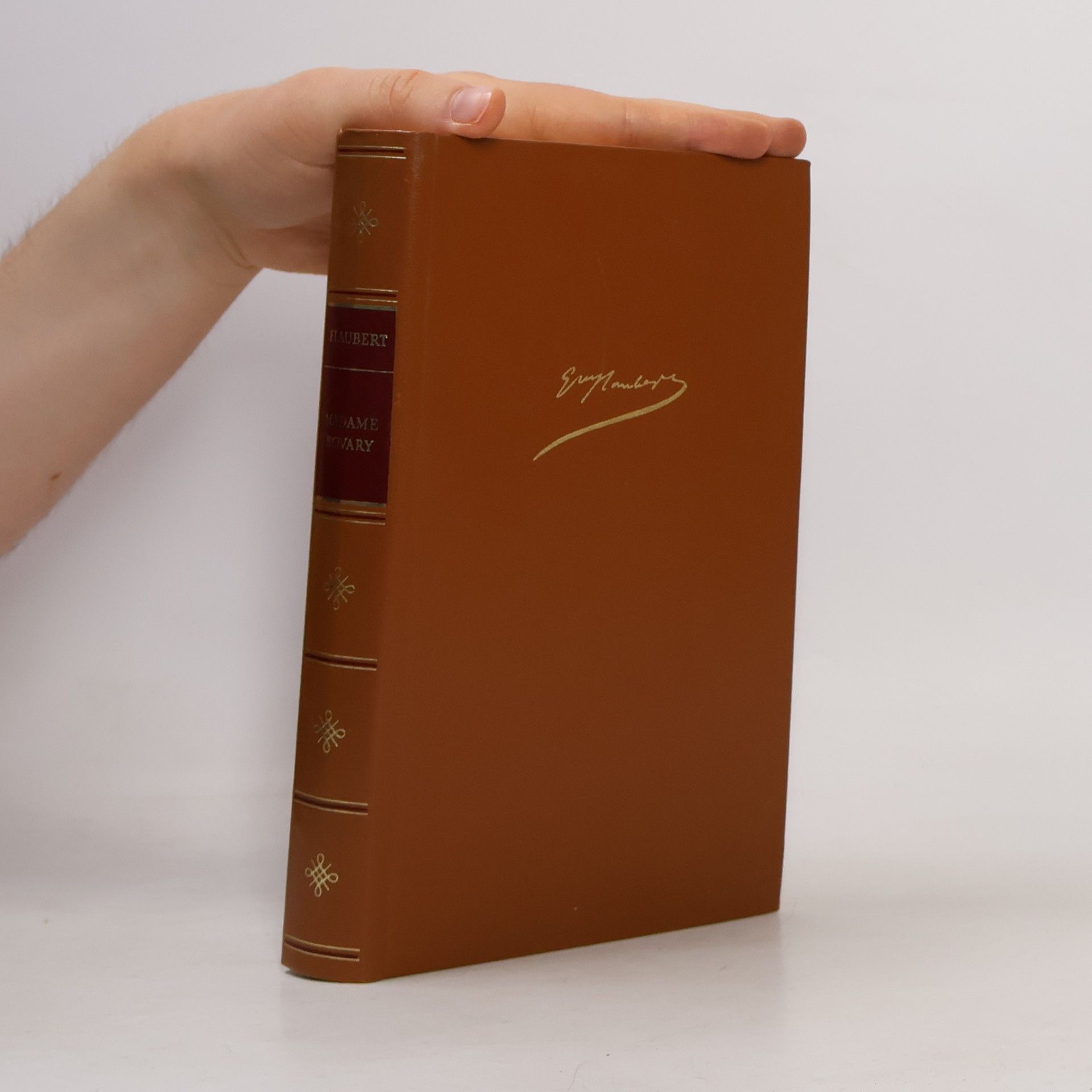 Gustave Flaubert Madame Bovary