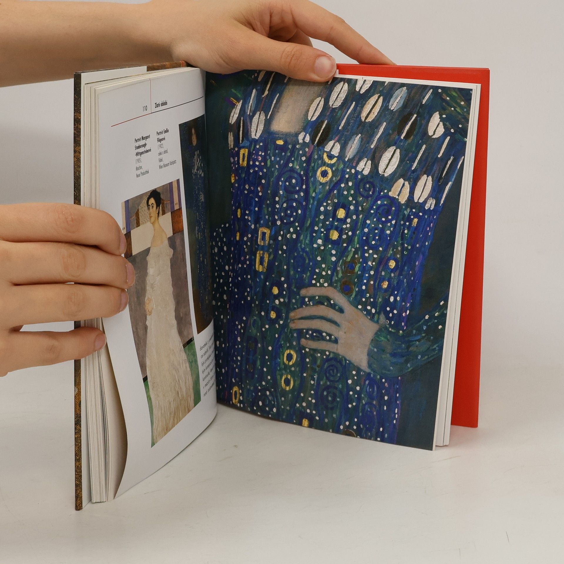 Matteo Chini Život umělce: Klimt