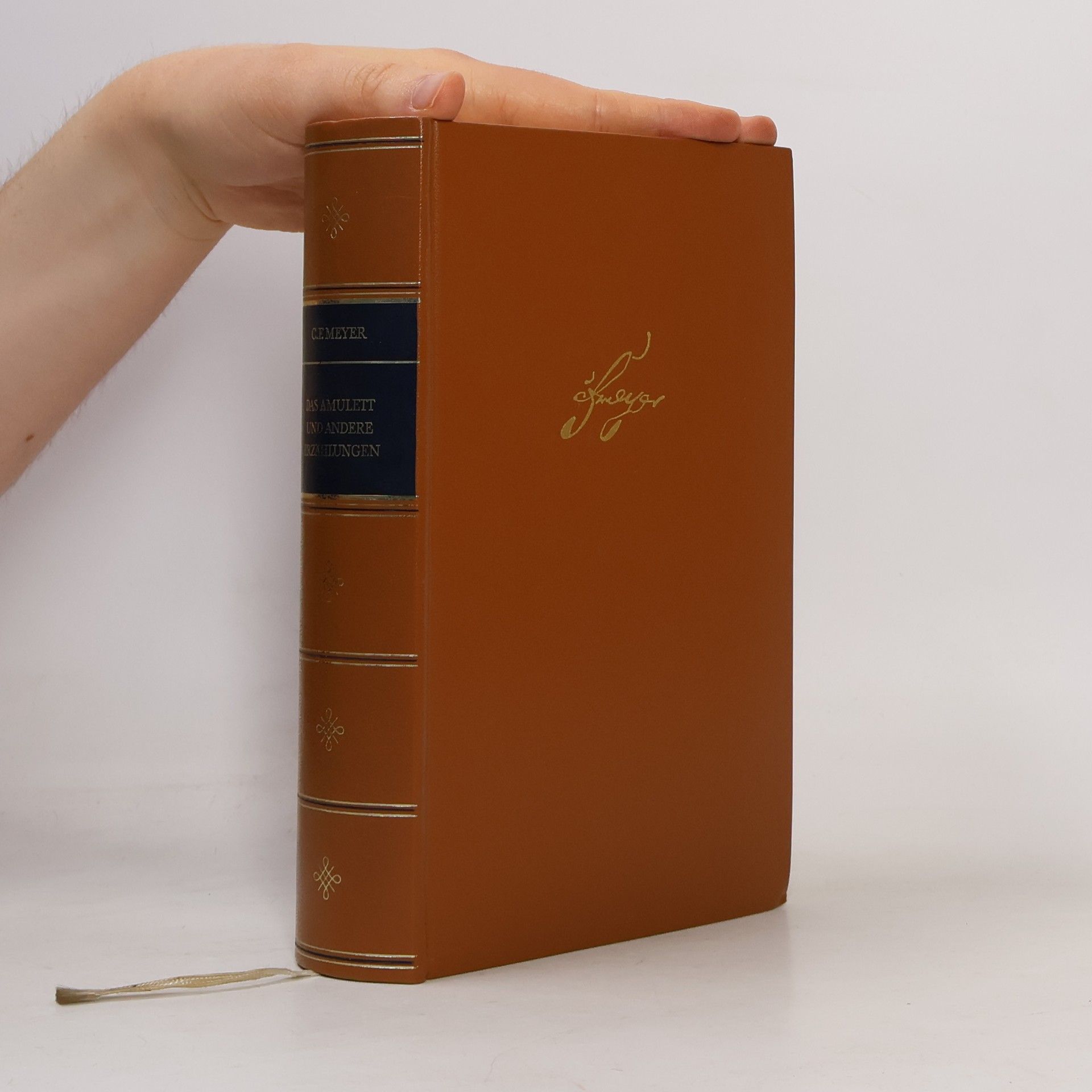 C. F. Meyer Das Amulett und andere Erzählungen