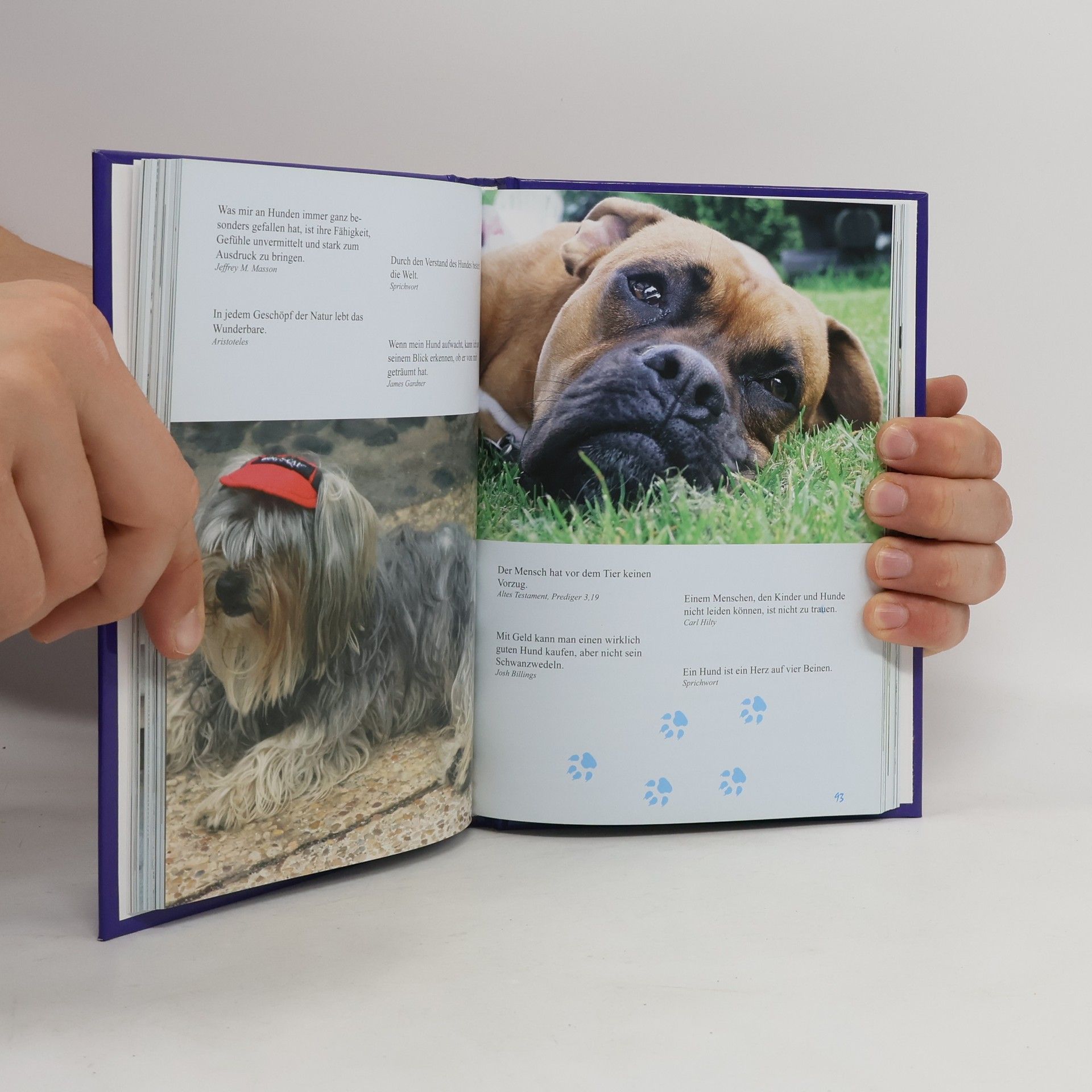 Autorenkollektiv Ein Lesebuch für Hundefreunde
