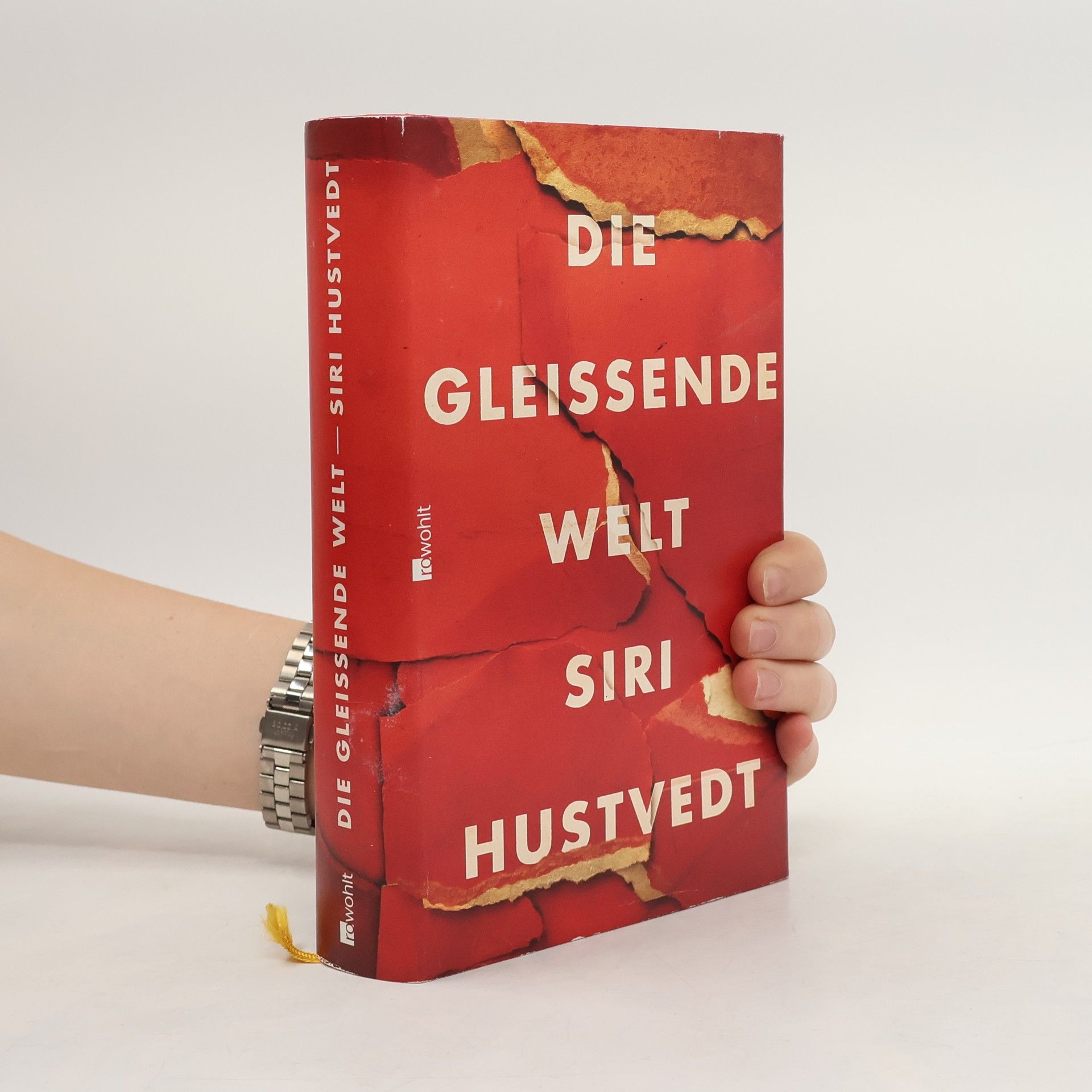 Siri Hustvedt Die gleissende Welt