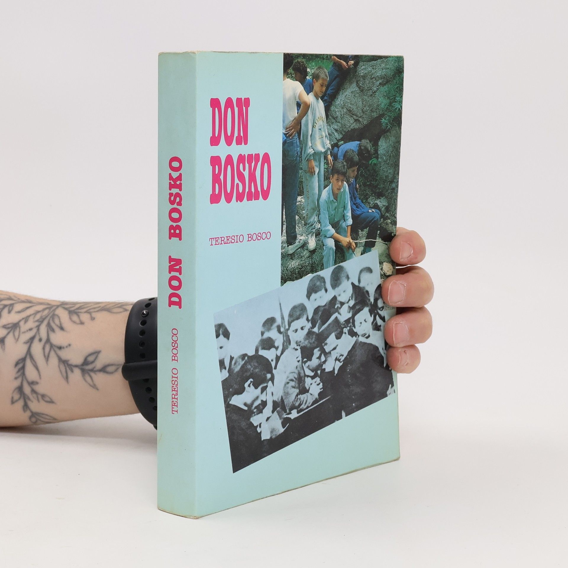 Teresio Bosco Don Bosko