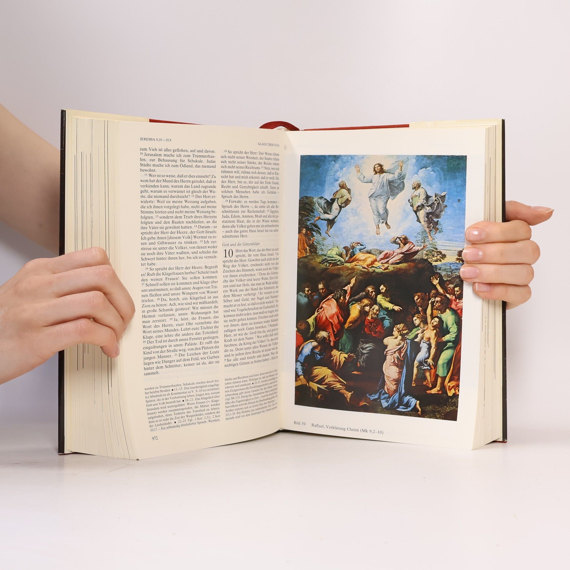 Autorenkollektiv Die Heilige Schrift. Einheitsübersetzung kommentiert