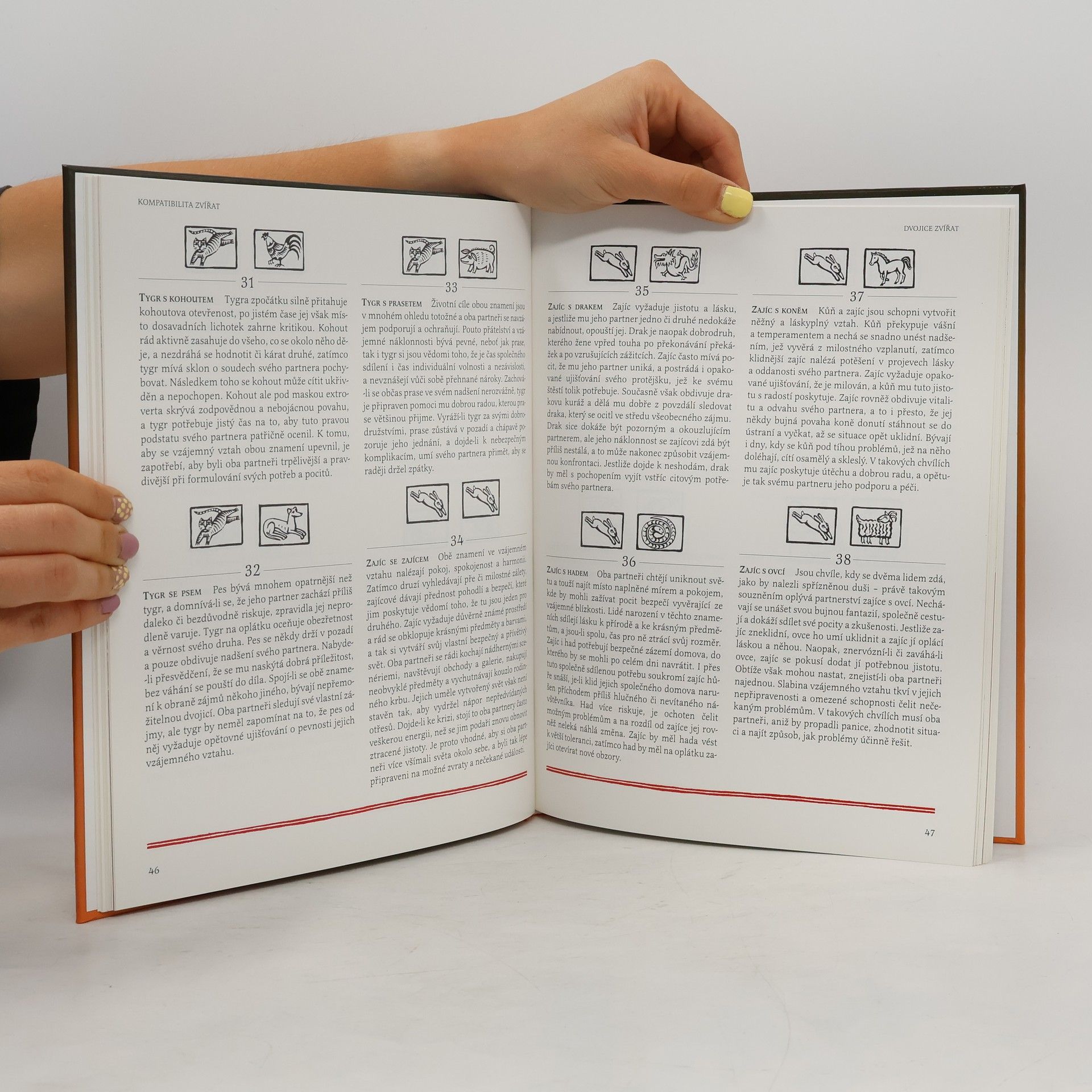 Man-Ho Kwok Čínská astrologie. Předpovídejte svoji budoucnost podle čínského horoskopu