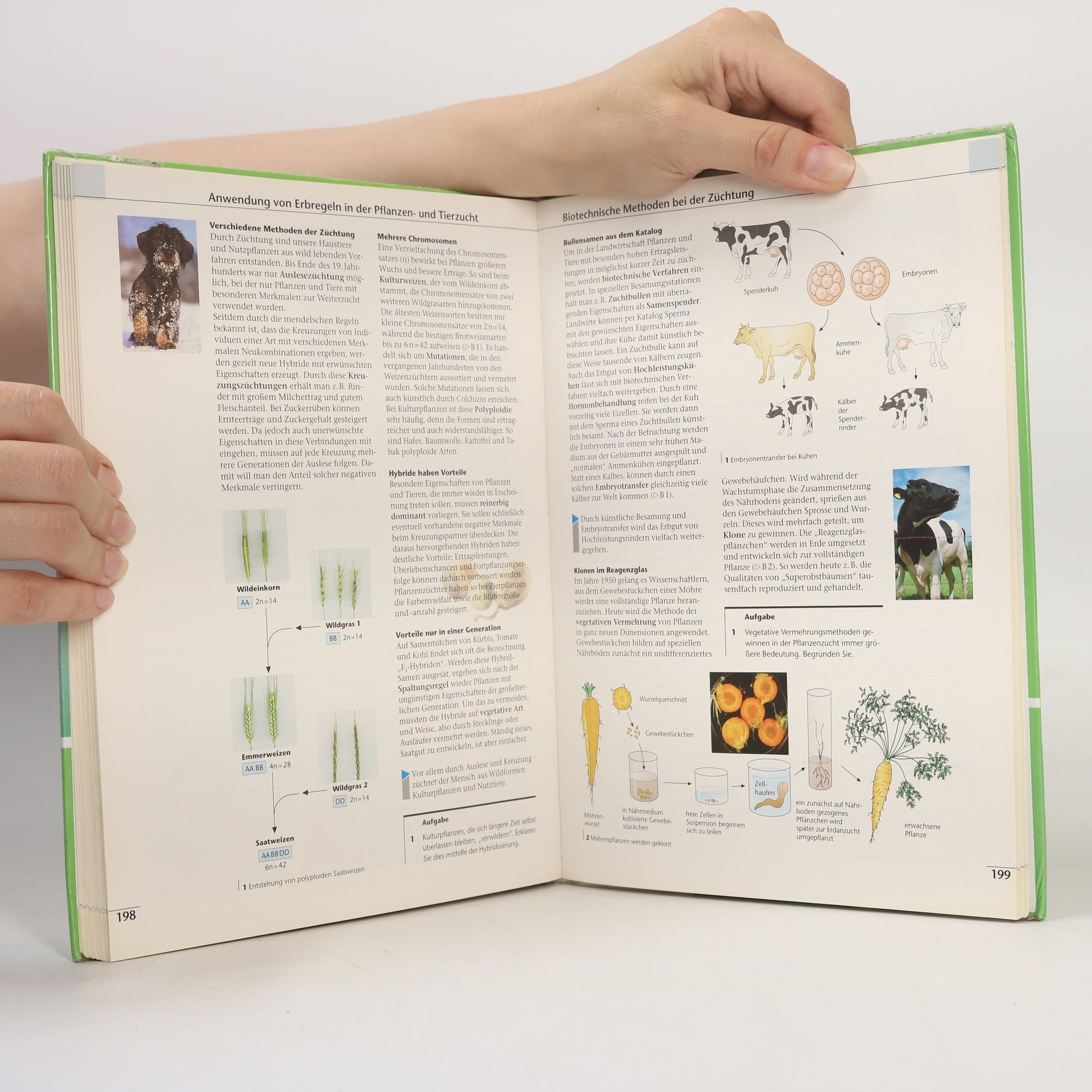 Manfred Bergau Prisma Biologie für berufliche Schulen. Schülerbuch 9./10. Schuljahr