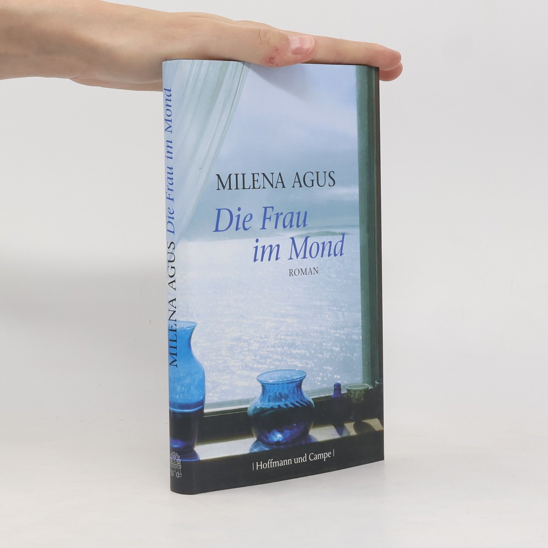 Milena Agus Die Frau im Mond