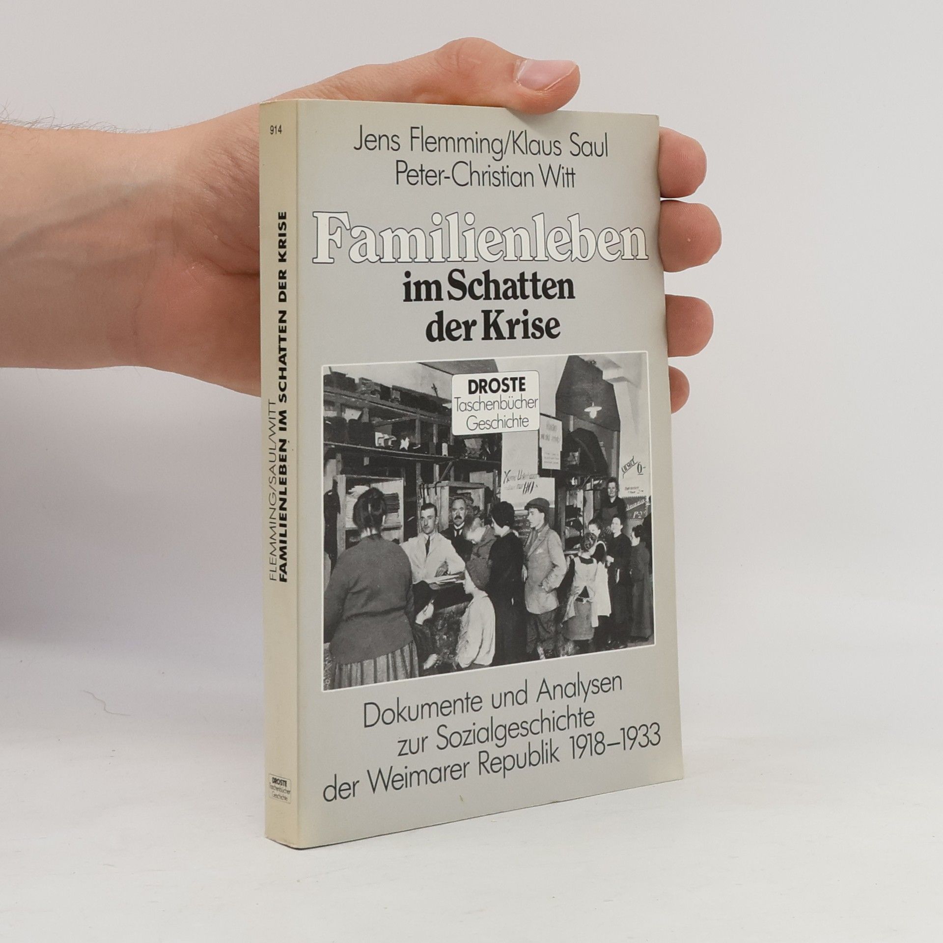 Droste Taschenbücher Geschichte - 914: Familienleben im Schatten der Krise