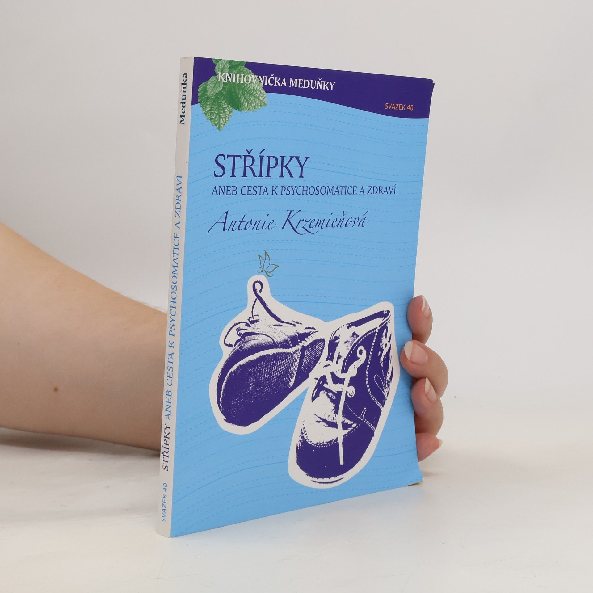 Antonie Krzemieňová Střípky aneb Cesta k psychosomatice a zdraví