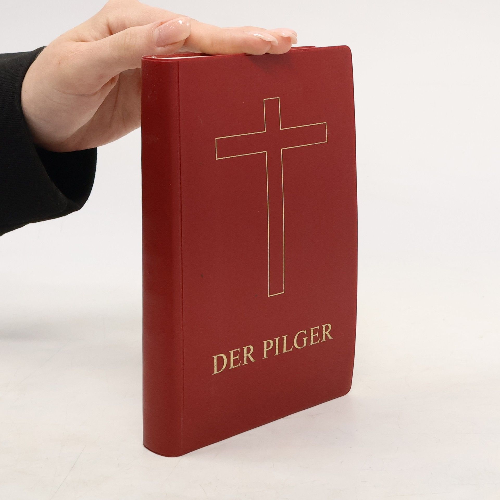 Kolektiv autorů Der Pilger