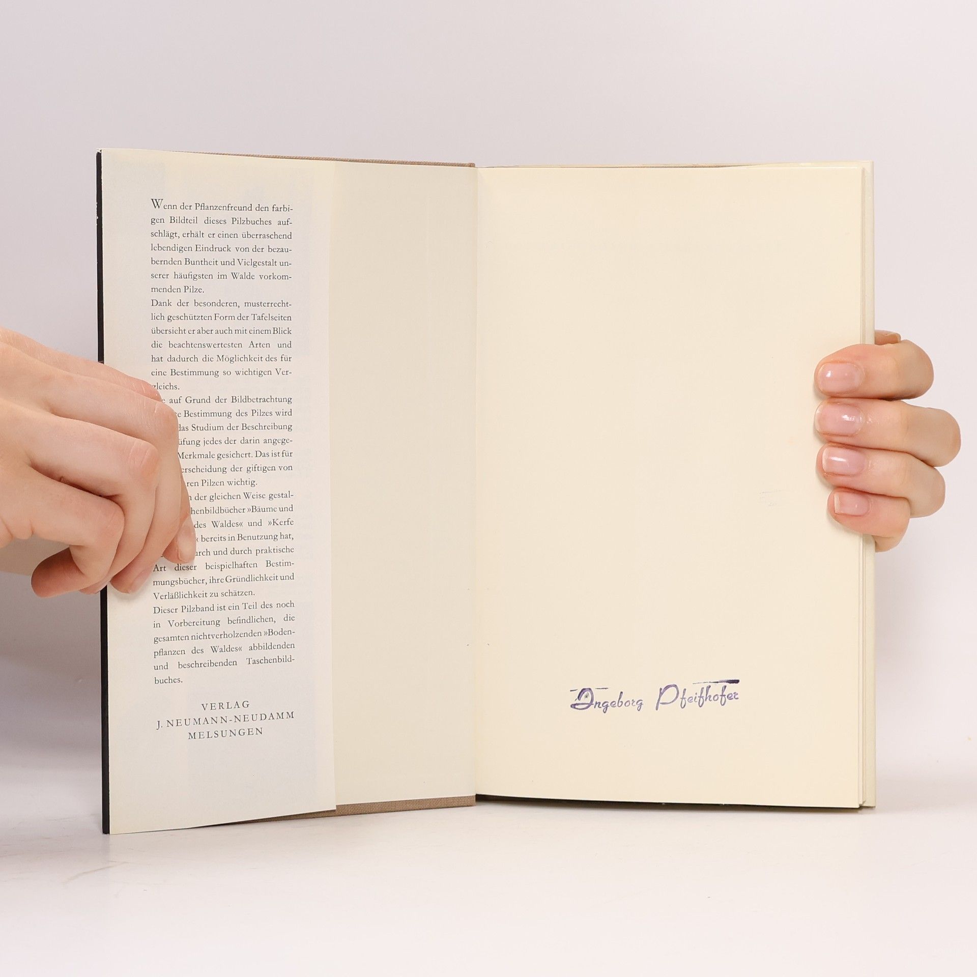 Gottfried Amann Pilze des Waldes