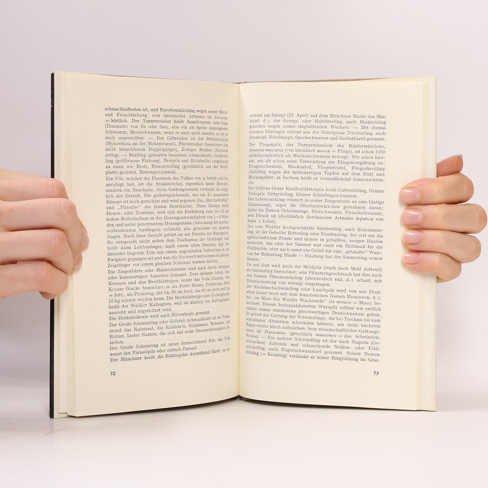 Gottfried Amann Pilze des Waldes