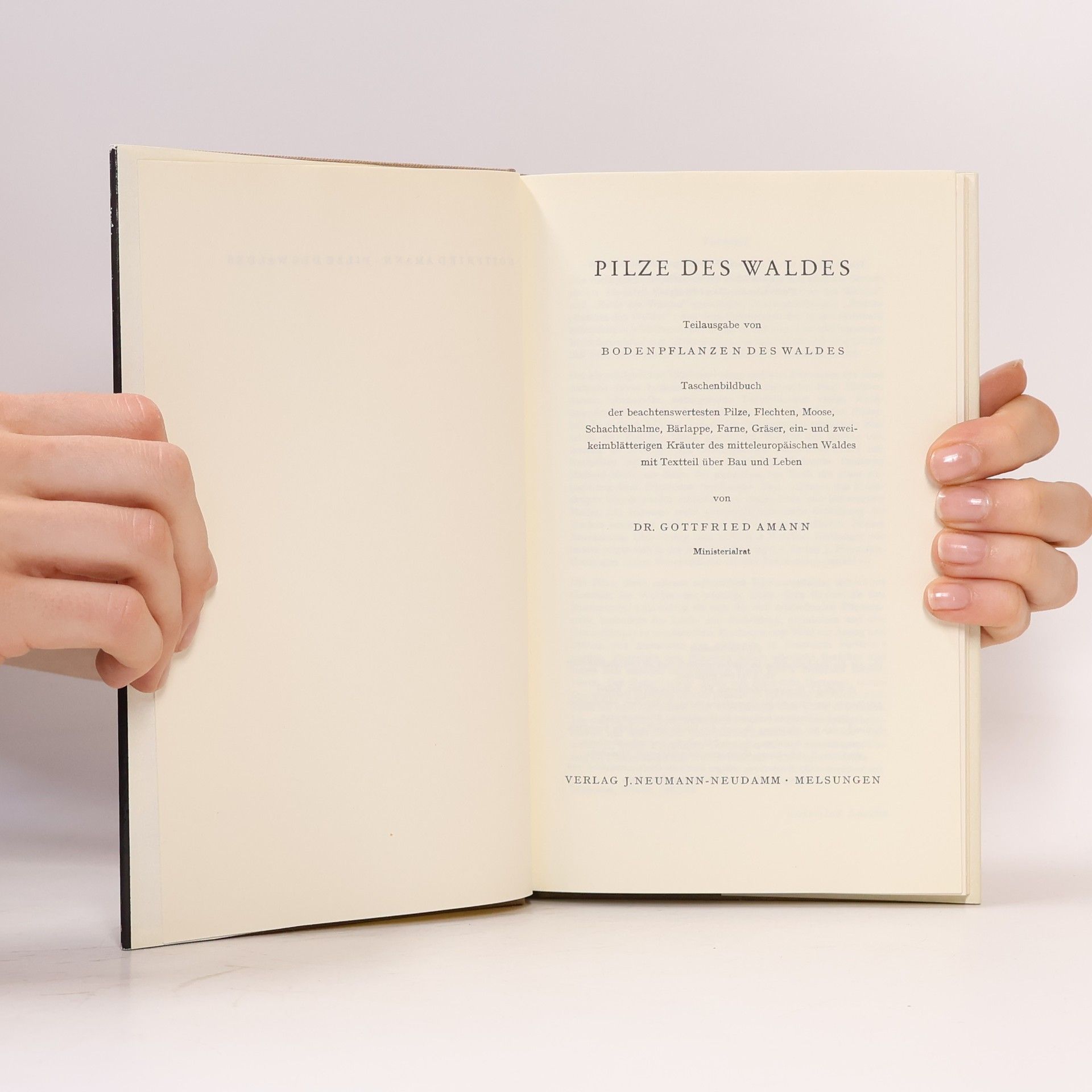 Gottfried Amann Pilze des Waldes