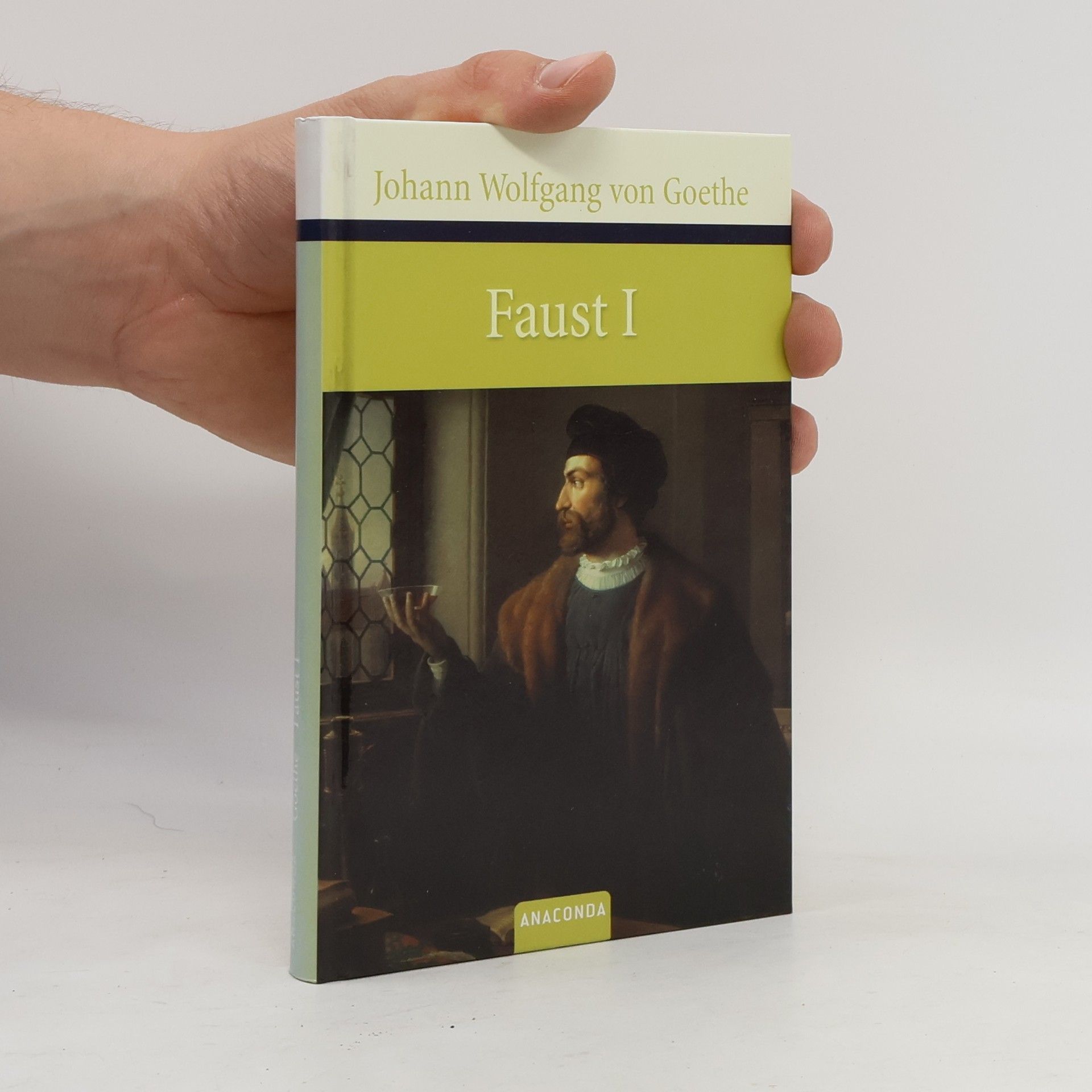 Johann Wolfgang von Goethe Faust : Der Tragödie erster Teil