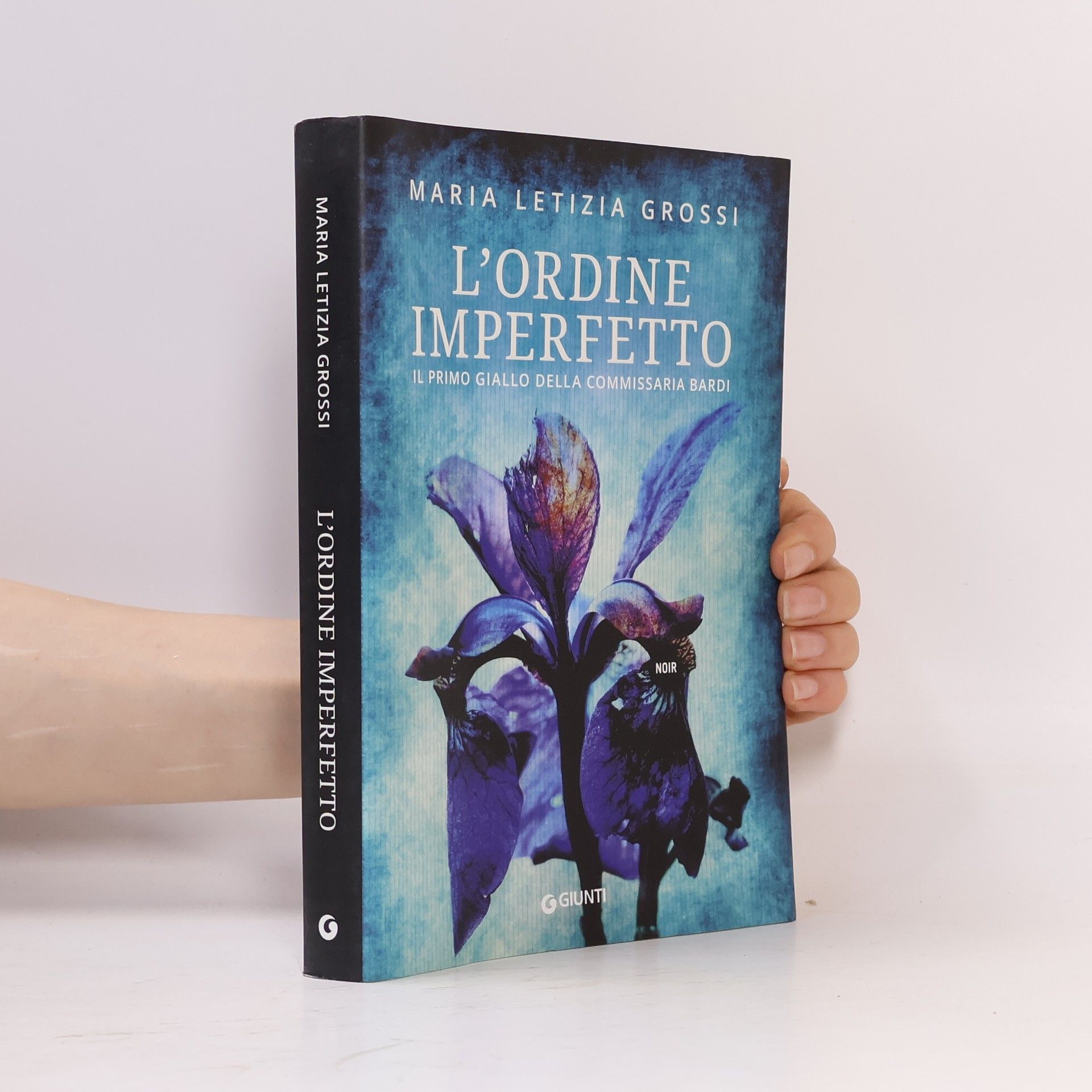 Maria Letizia Grossi L'ordine imperfetto
