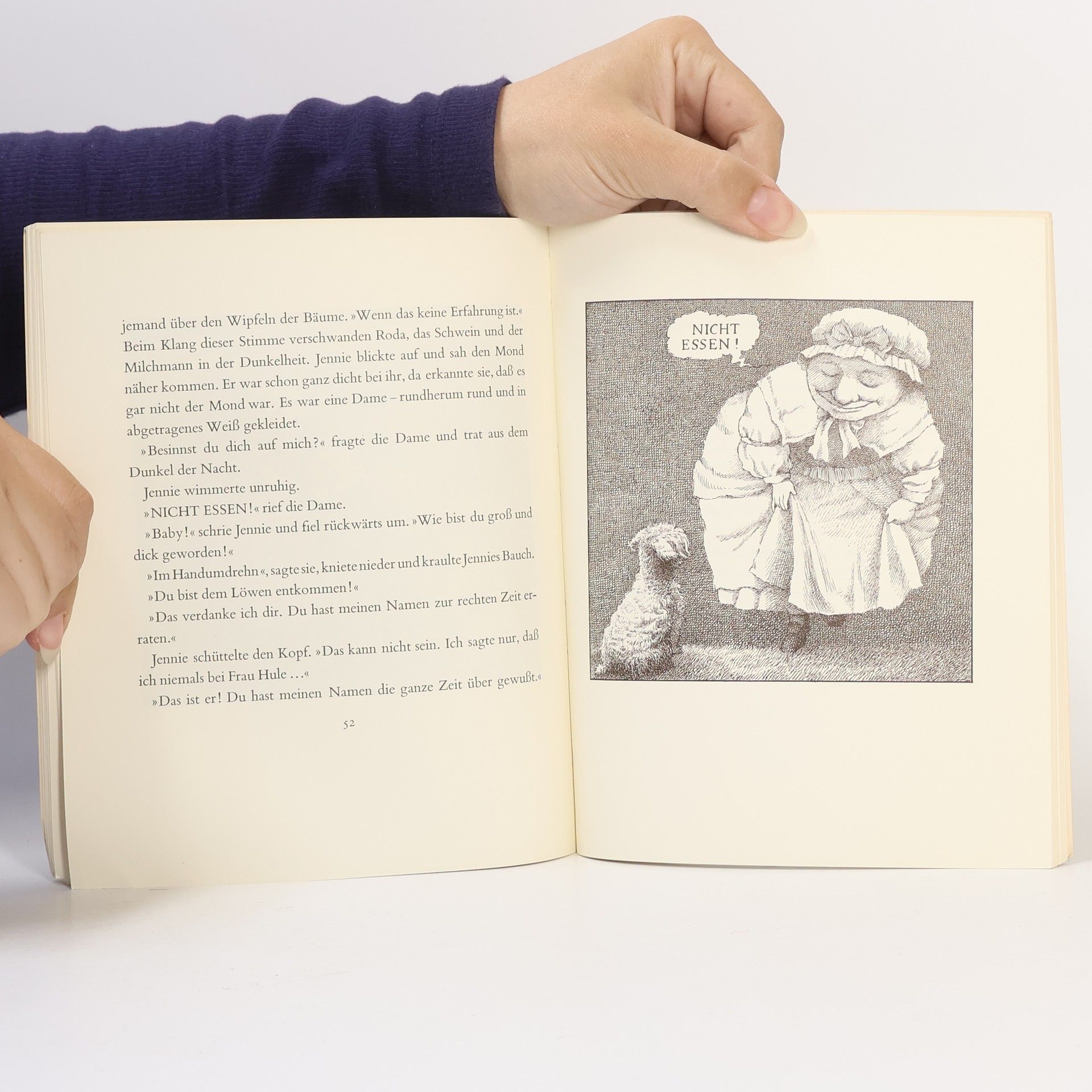 Maurice Sendak Higgelti Piggelti Pop! Oder es muss im Leben mehr als alles geben