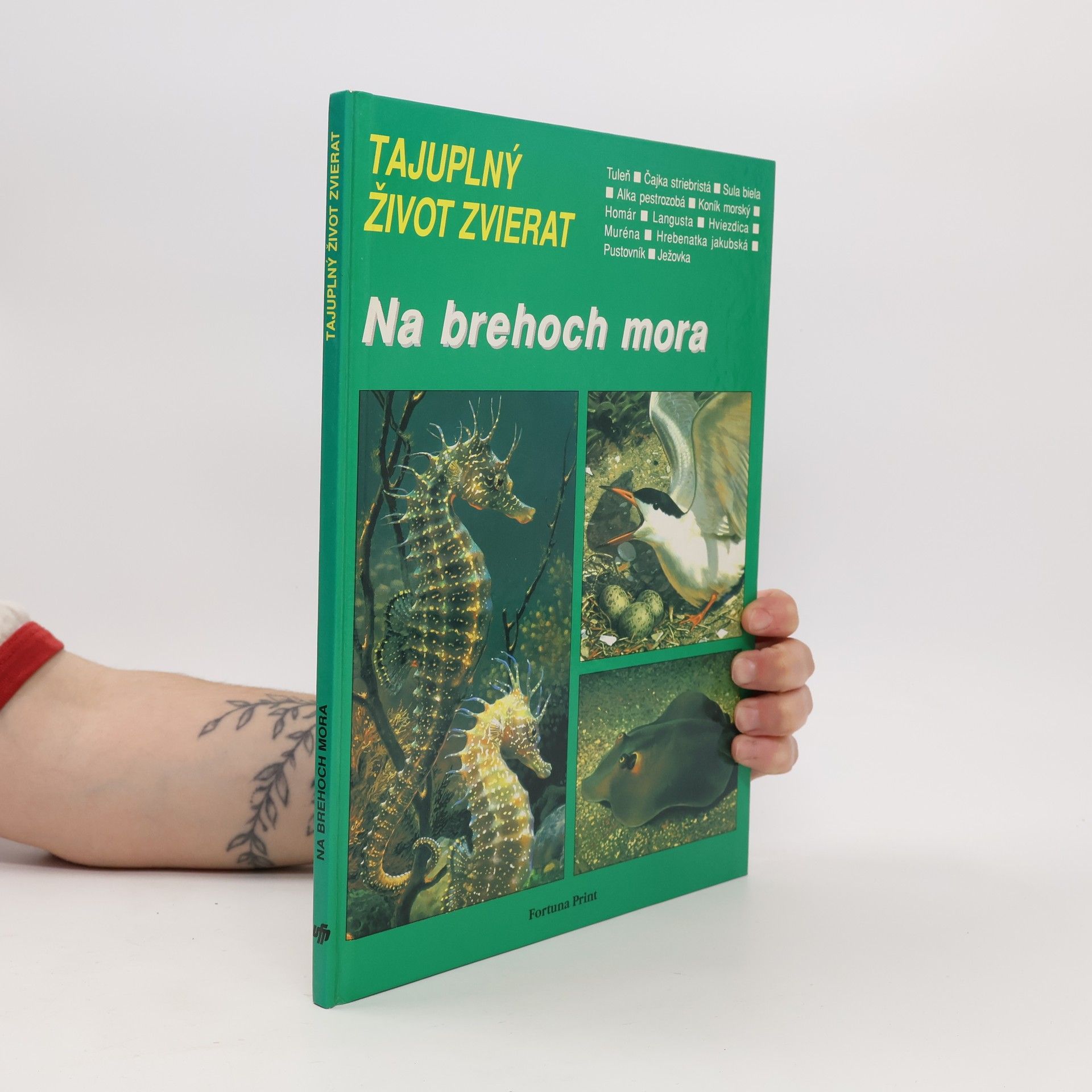 Carl Brenders Tajuplný život zvierat - Na brehoch mora