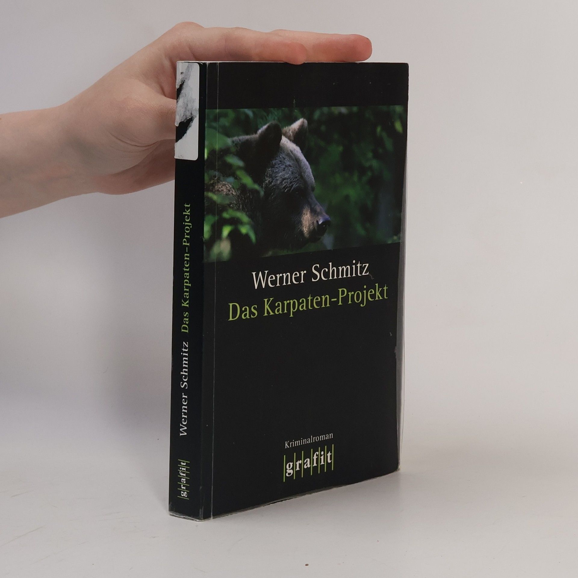 Werner Schmitz Das Karpaten-Projekt