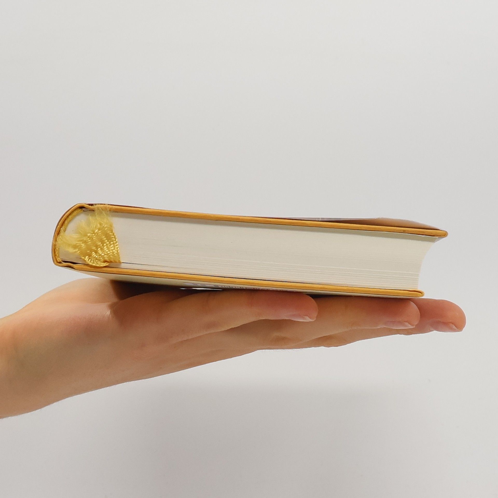 Elena Ferrante Lästige Liebe