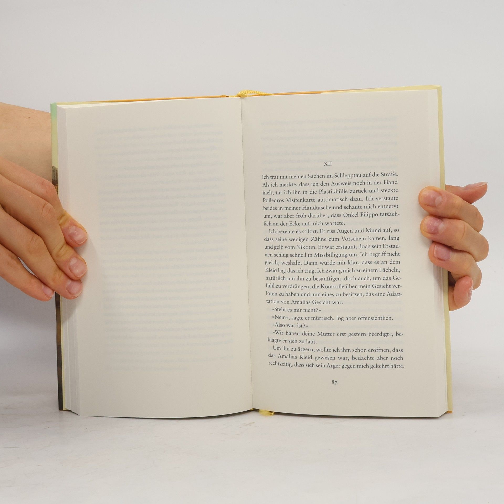Elena Ferrante Lästige Liebe