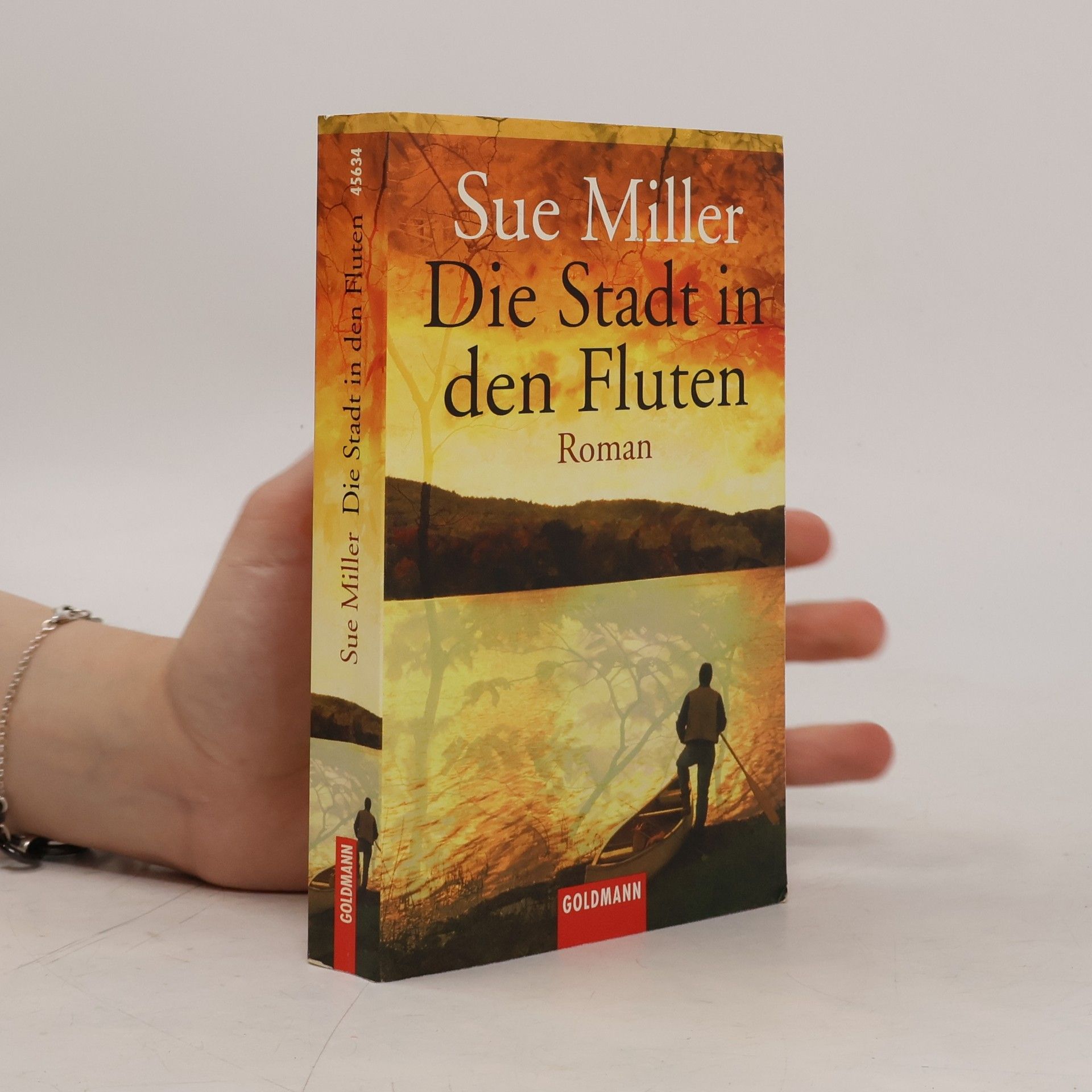 Sue Miller Die Stadt in den Fluten