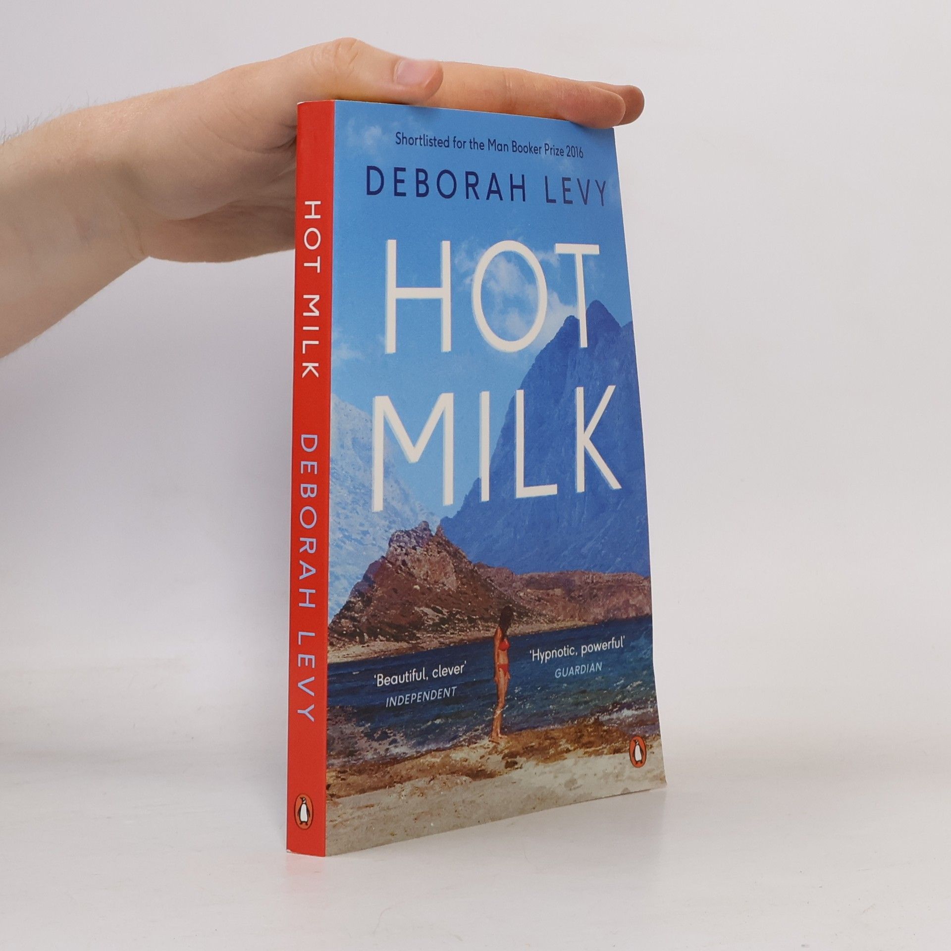 Deborah Levy Hot milk