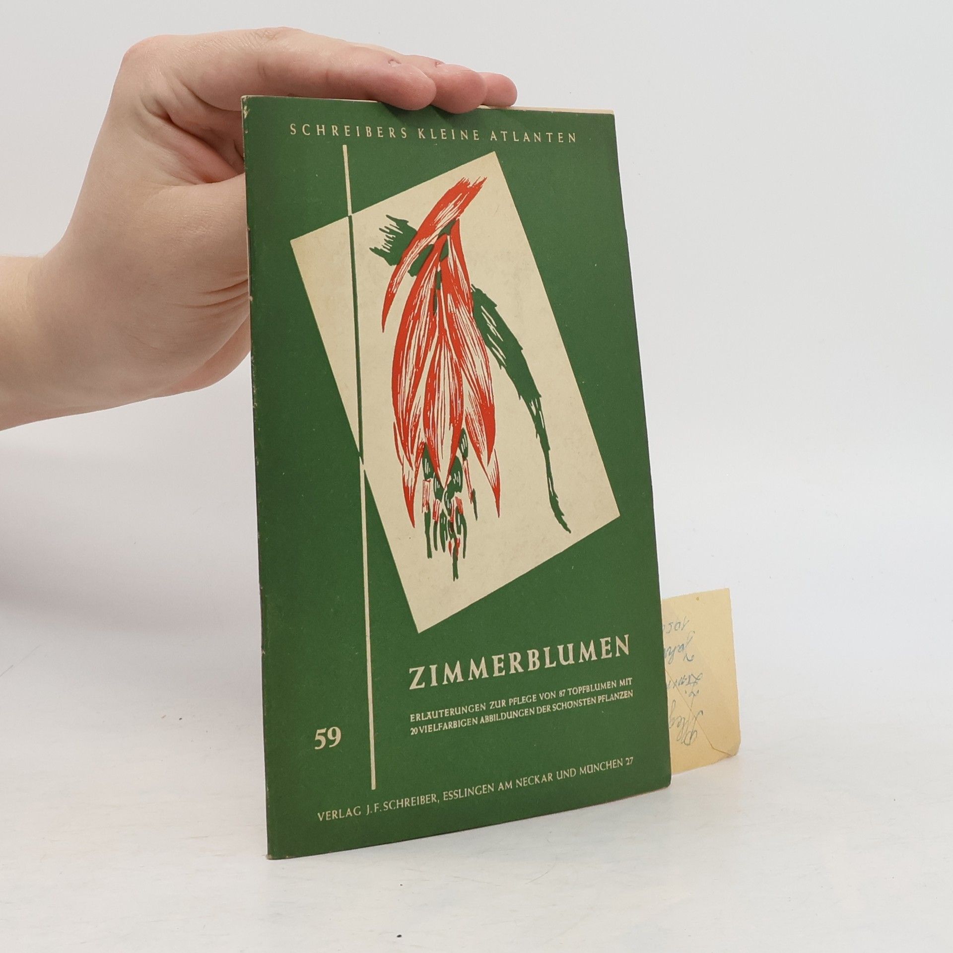 Kolektiv autorů Zimmerblumen 59