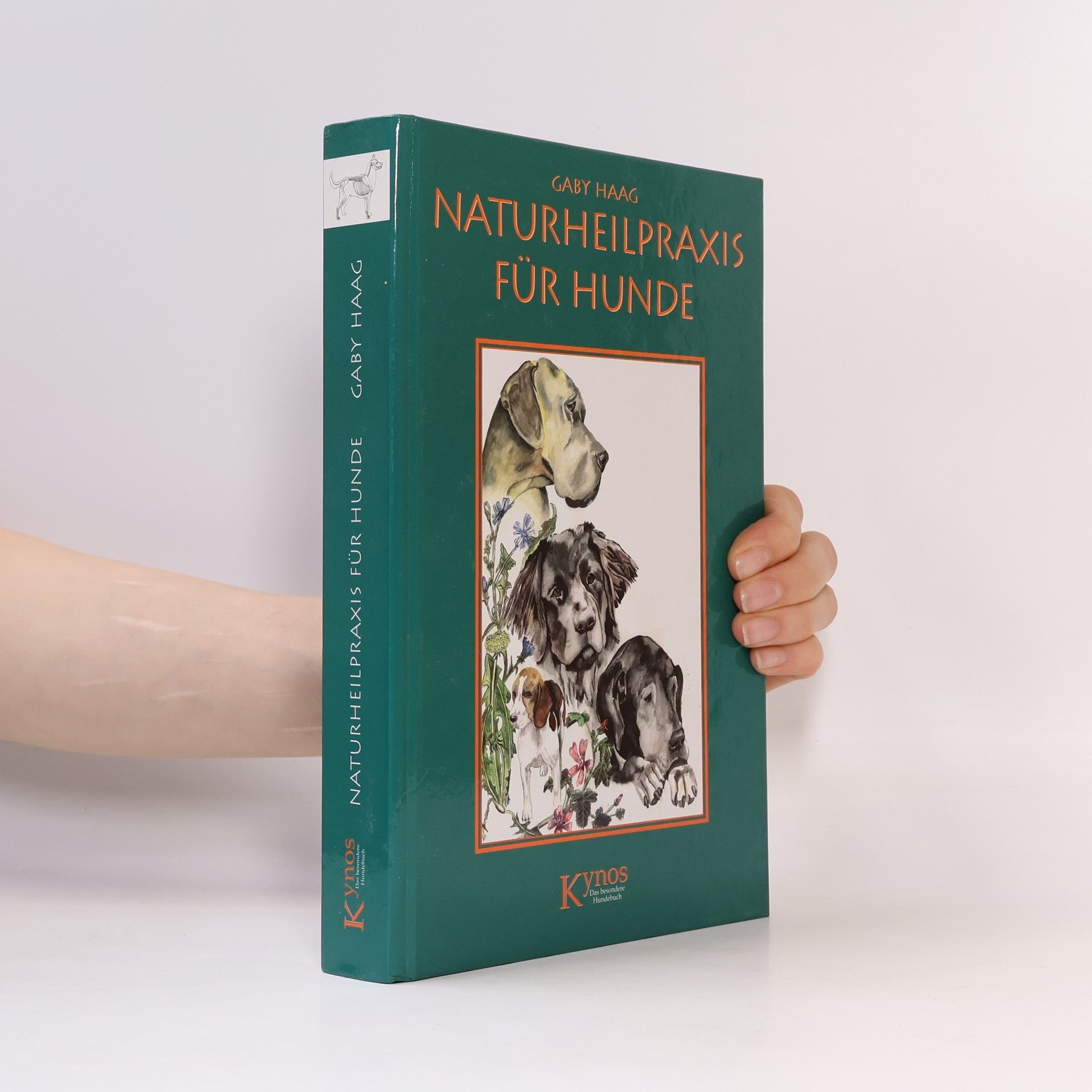 Gaby Haag Naturheilpraxis für Hunde
