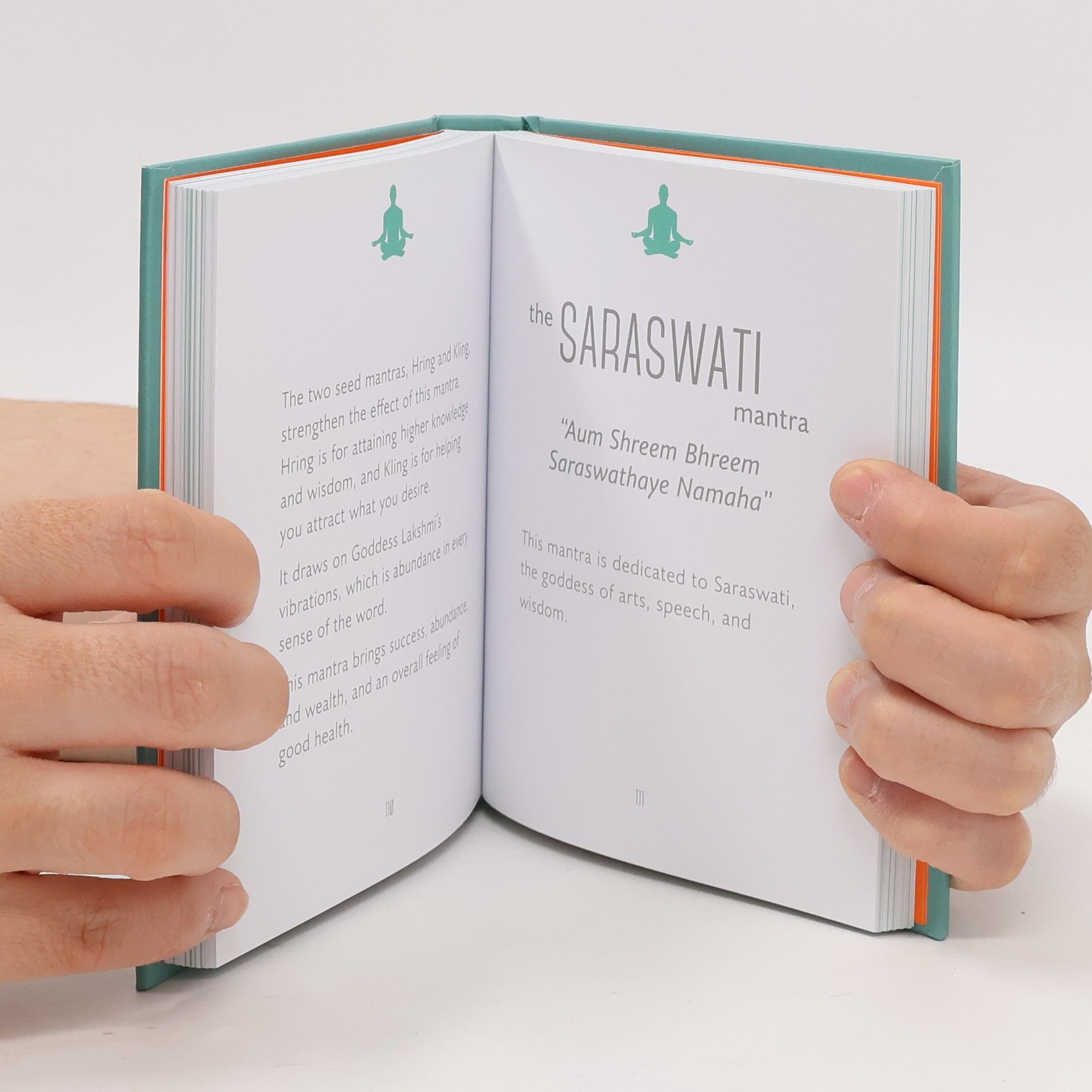 Orange Hippo! The Little Book of Mantras