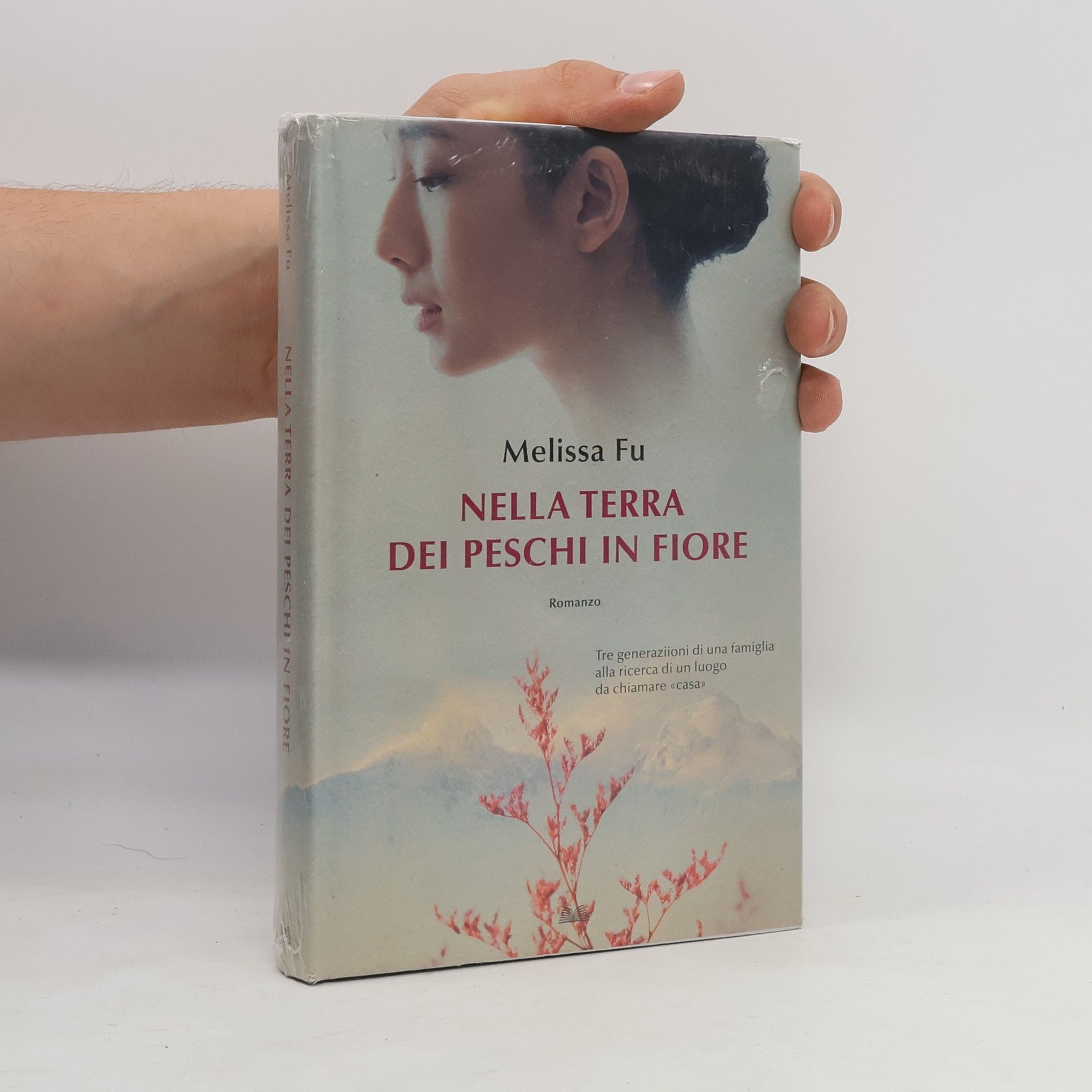 Melissa Bank Nella terra dei peschi in fiore