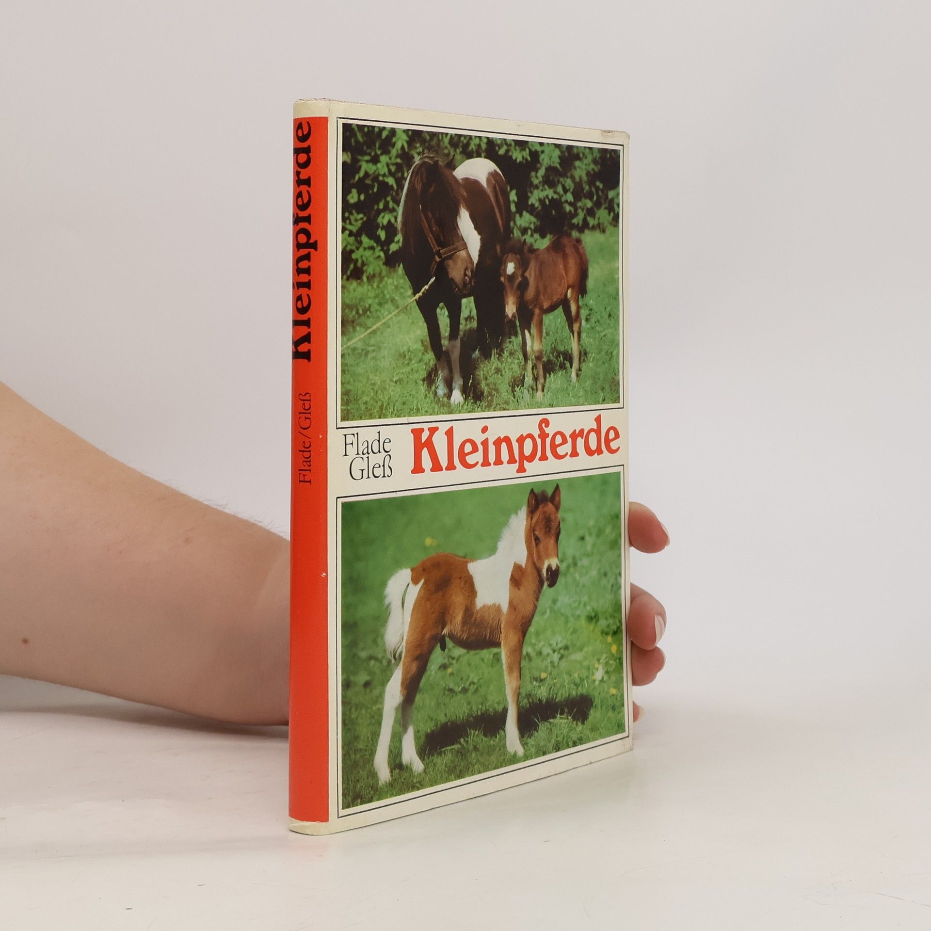 Kleinpferde