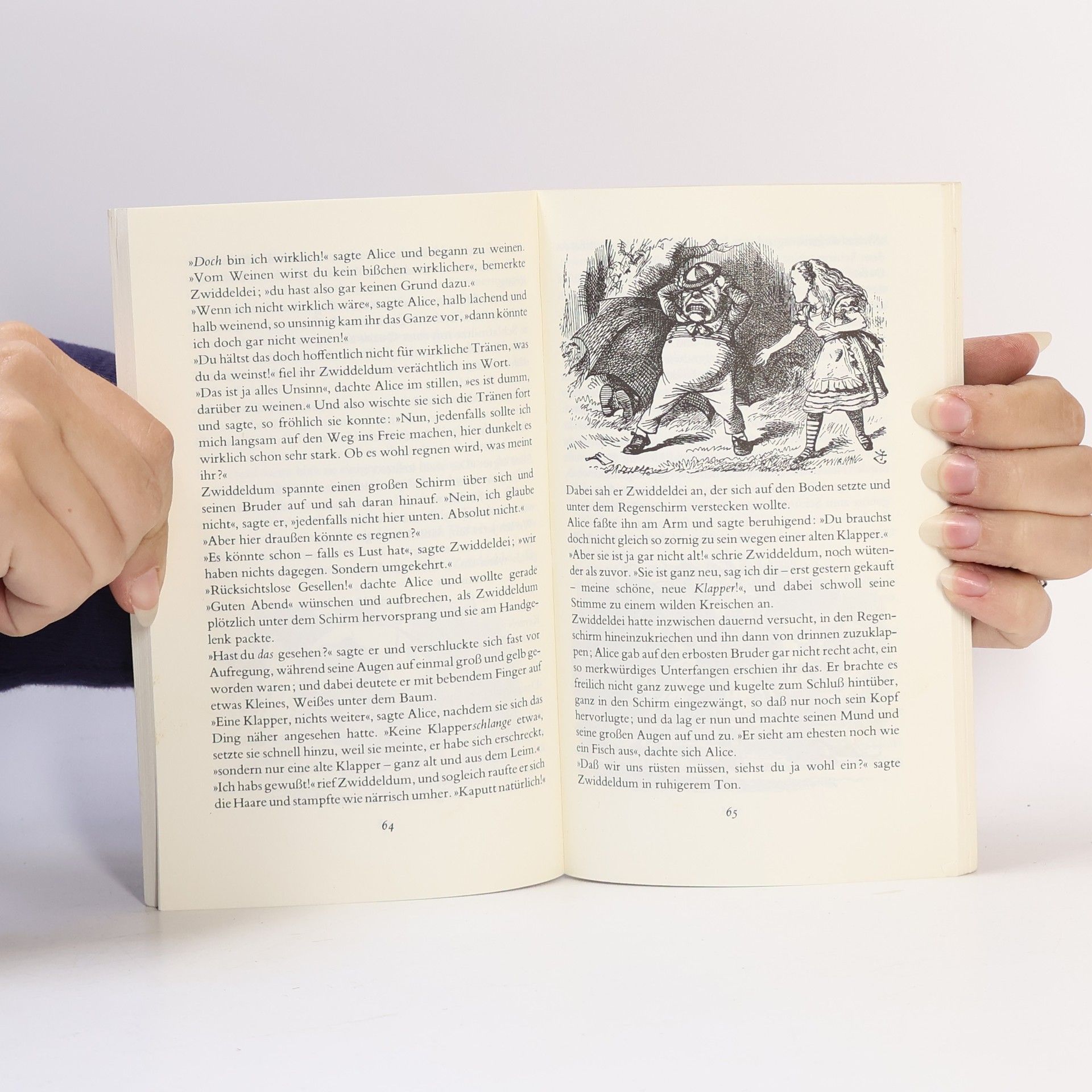 Lewis Carroll Alice hinter den Spiegeln