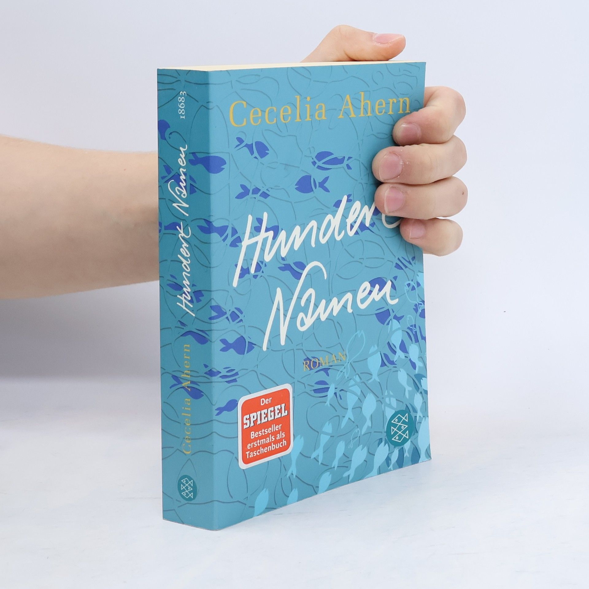 Cecelia Ahern Hundert Namen