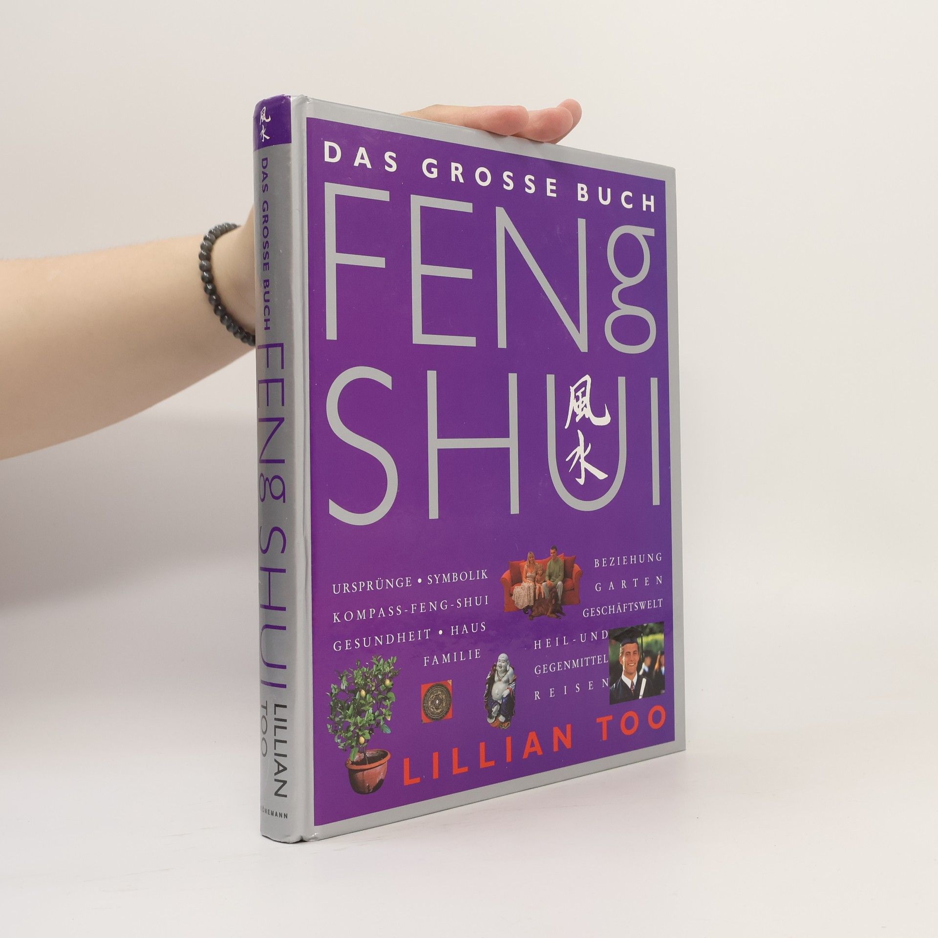Lillian Too Das grosse Buch Feng Shui