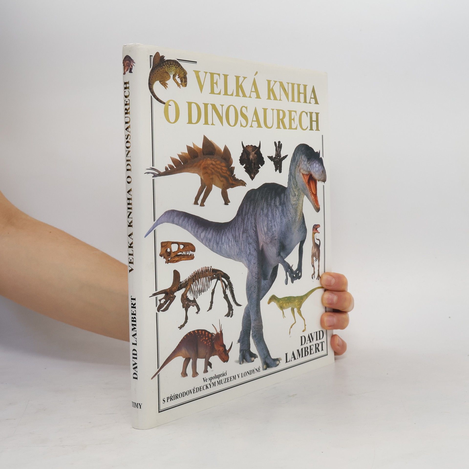 David Lambert Velká kniha o dinosaurech