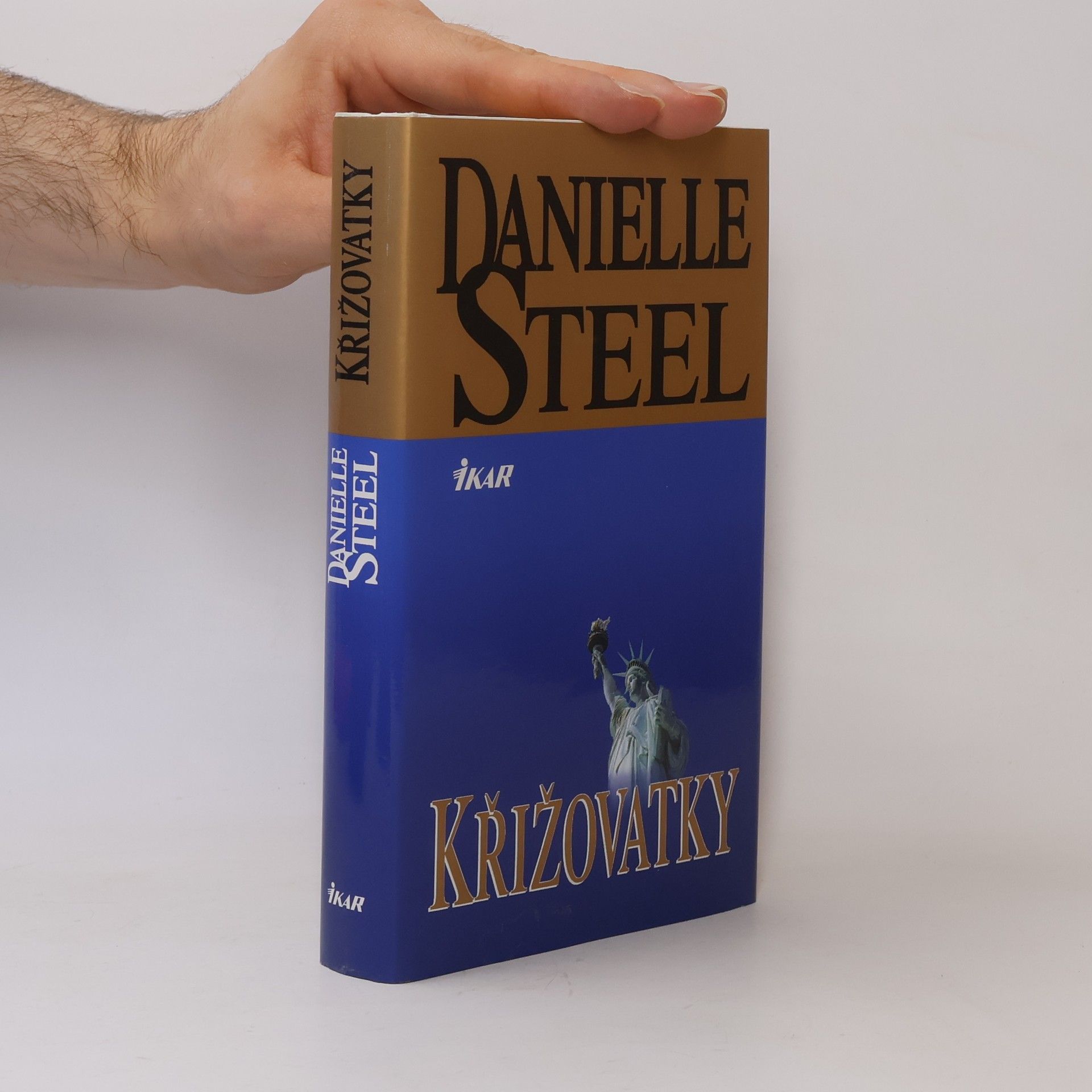 Danielle Steel Křižovatky