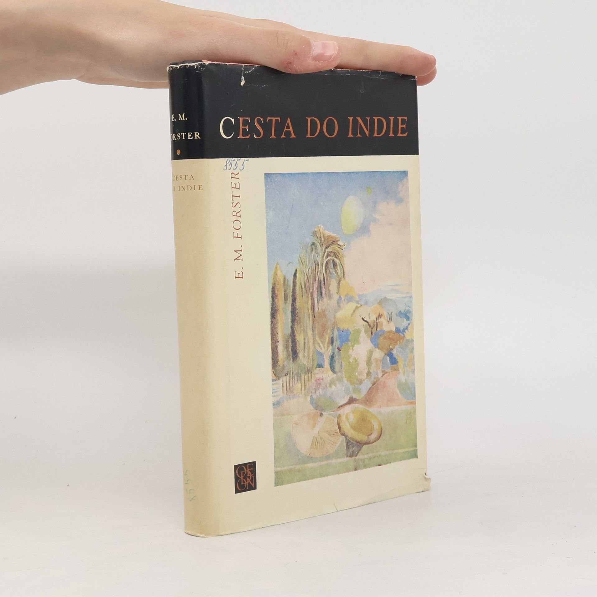 Cesta do Indie