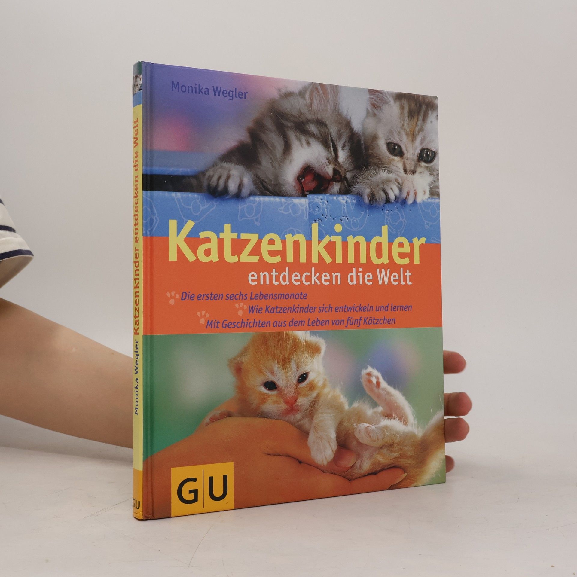 Monika Wegler Katzenkinder. Entdecken die Welt