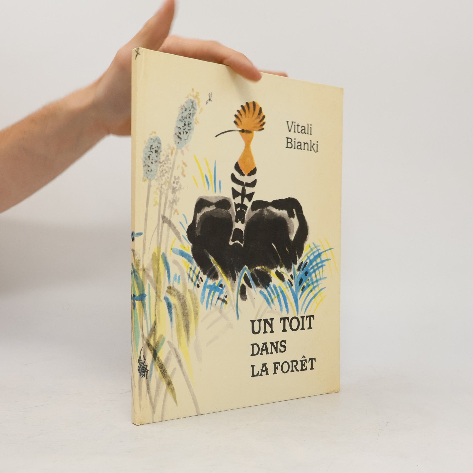 Un toit das la foret